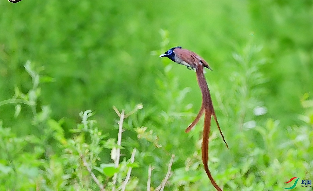DSC_9676.JPG