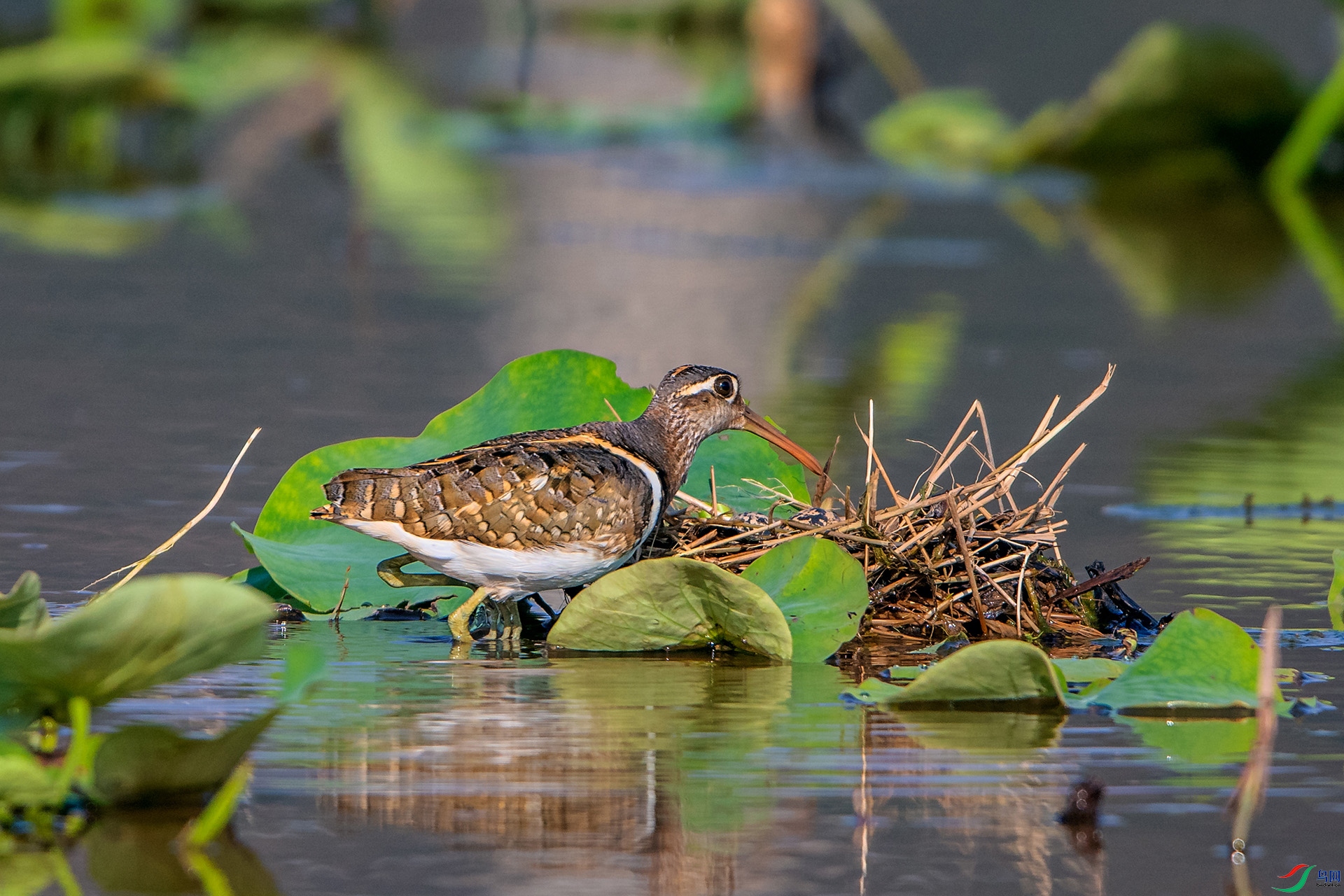 _AUU3155�ؼ�(24.5.6).jpg