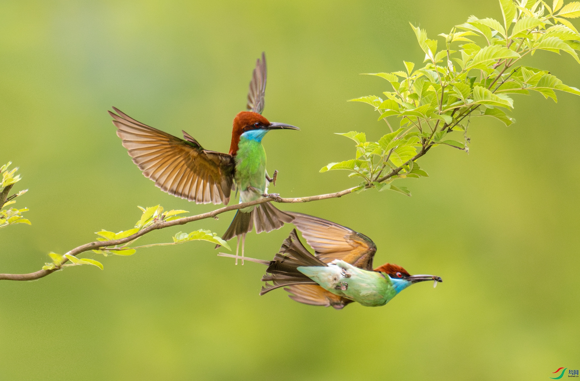 ����DSC_7059.jpg
