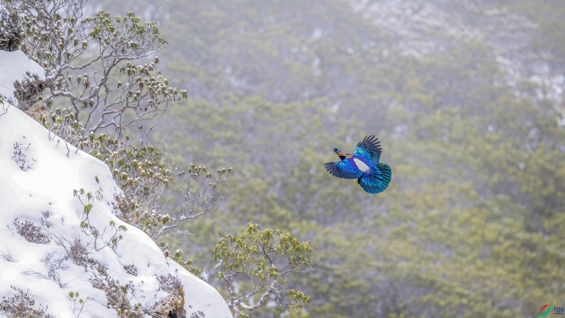 _DSC7323-NEF_DxO_DeepPRIME.jpg