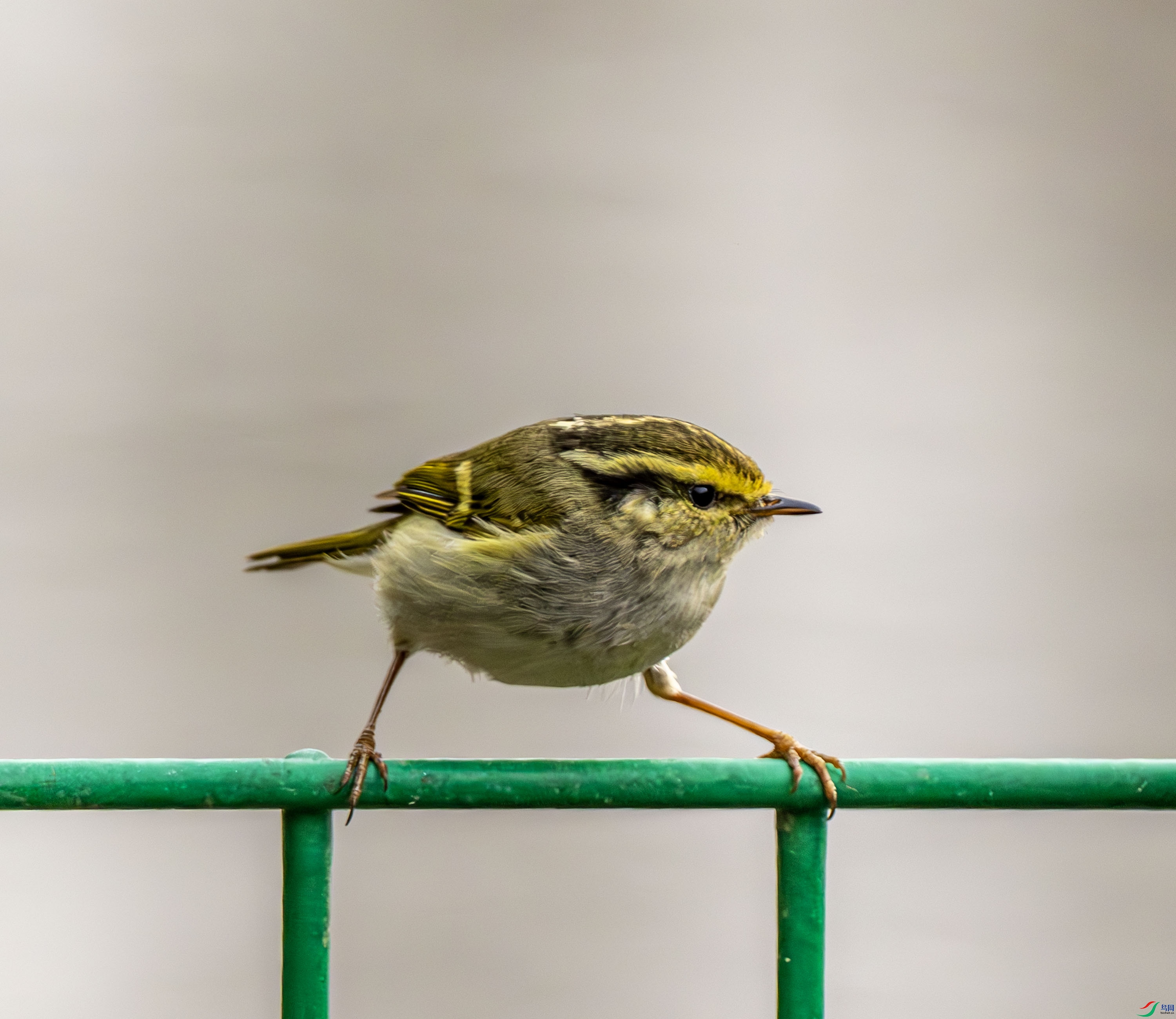 ������ݺ-01 (5 - 7).jpg