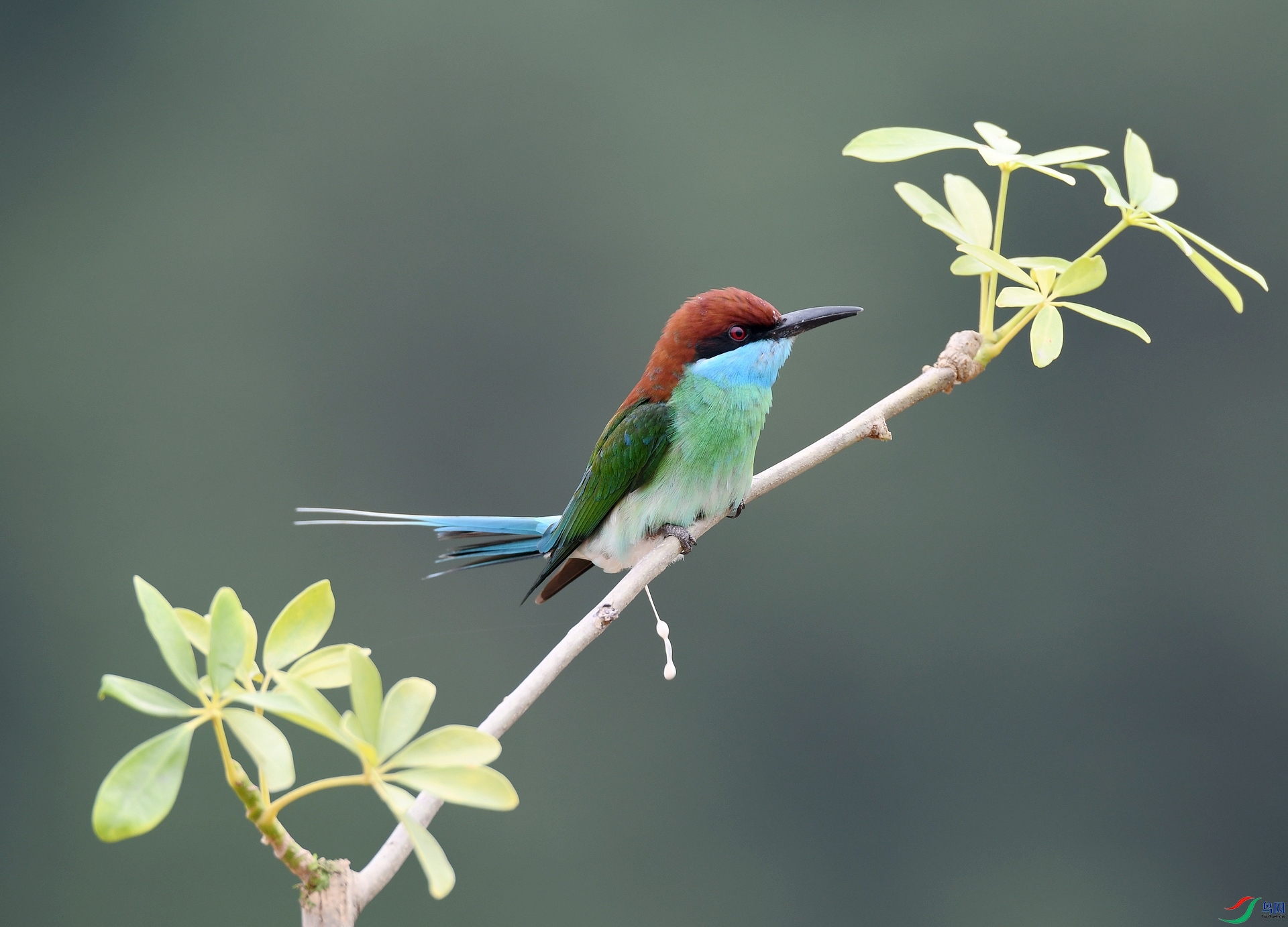 DSC_2474.jpg