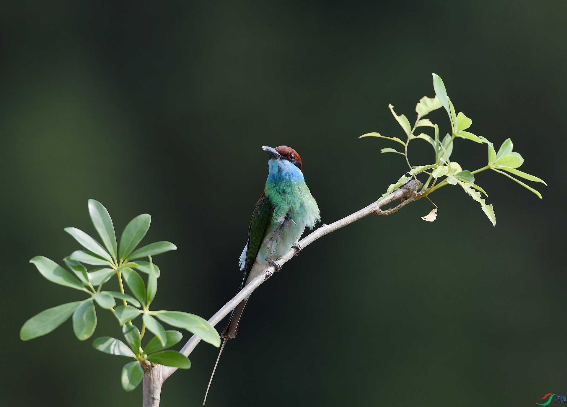 DSC_7272.jpg