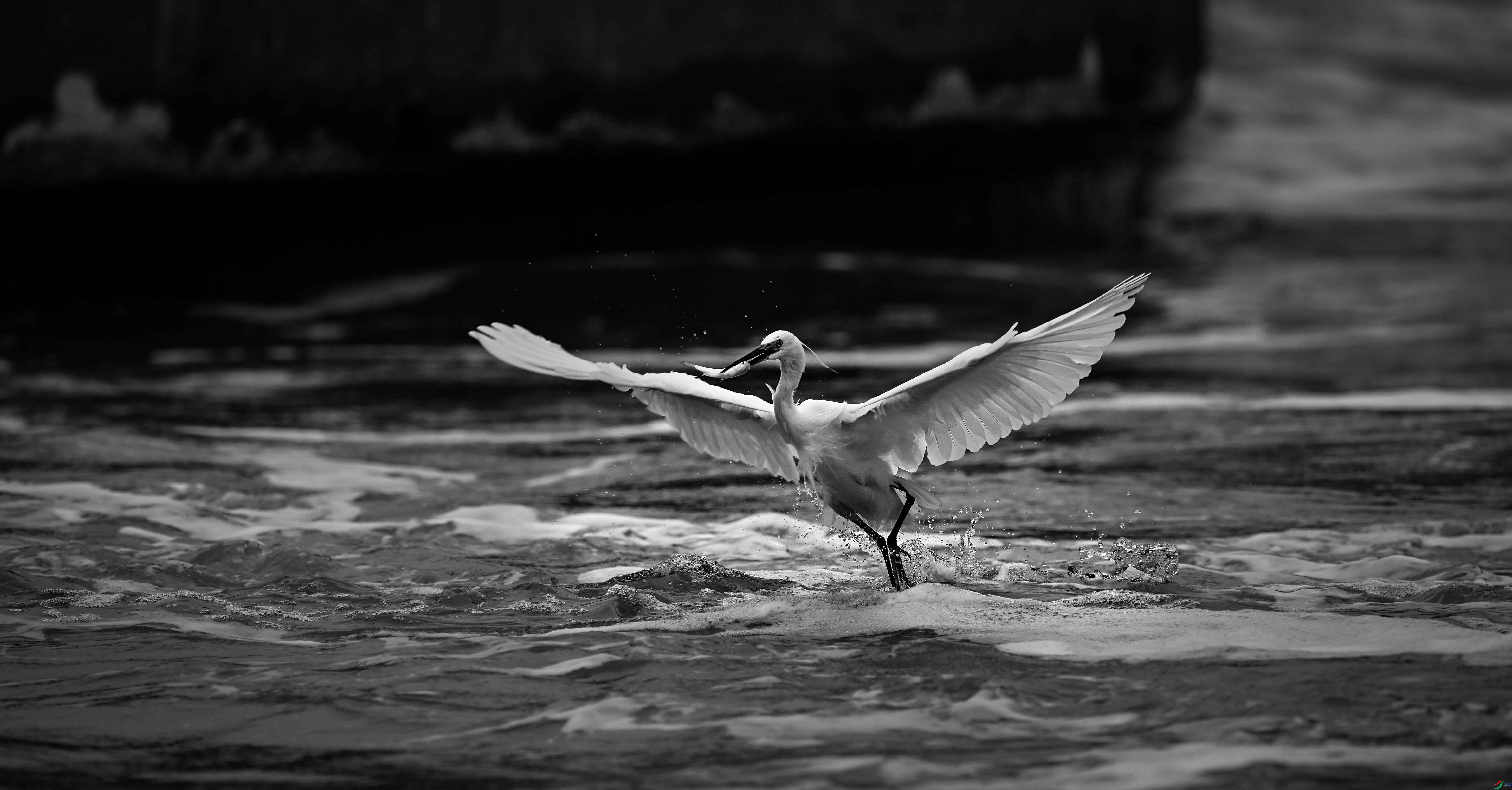 DSC_7860.jpg
