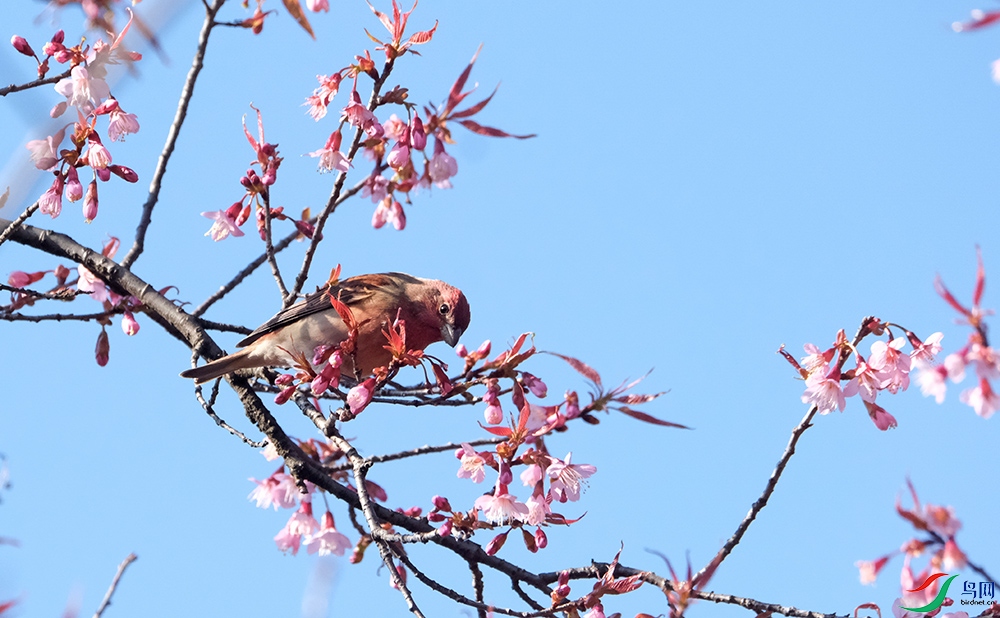 DSCF9670.1.jpg
