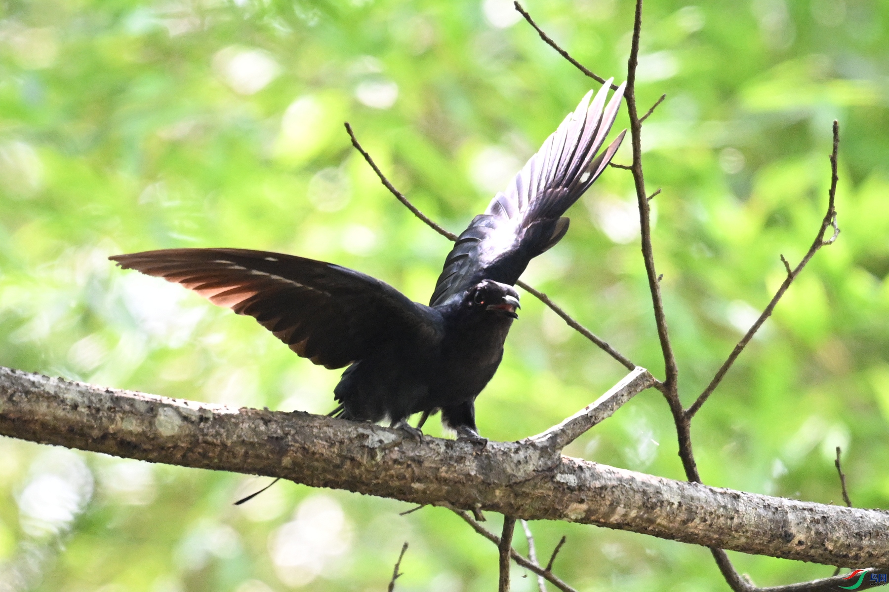 DSC_0742.JPG