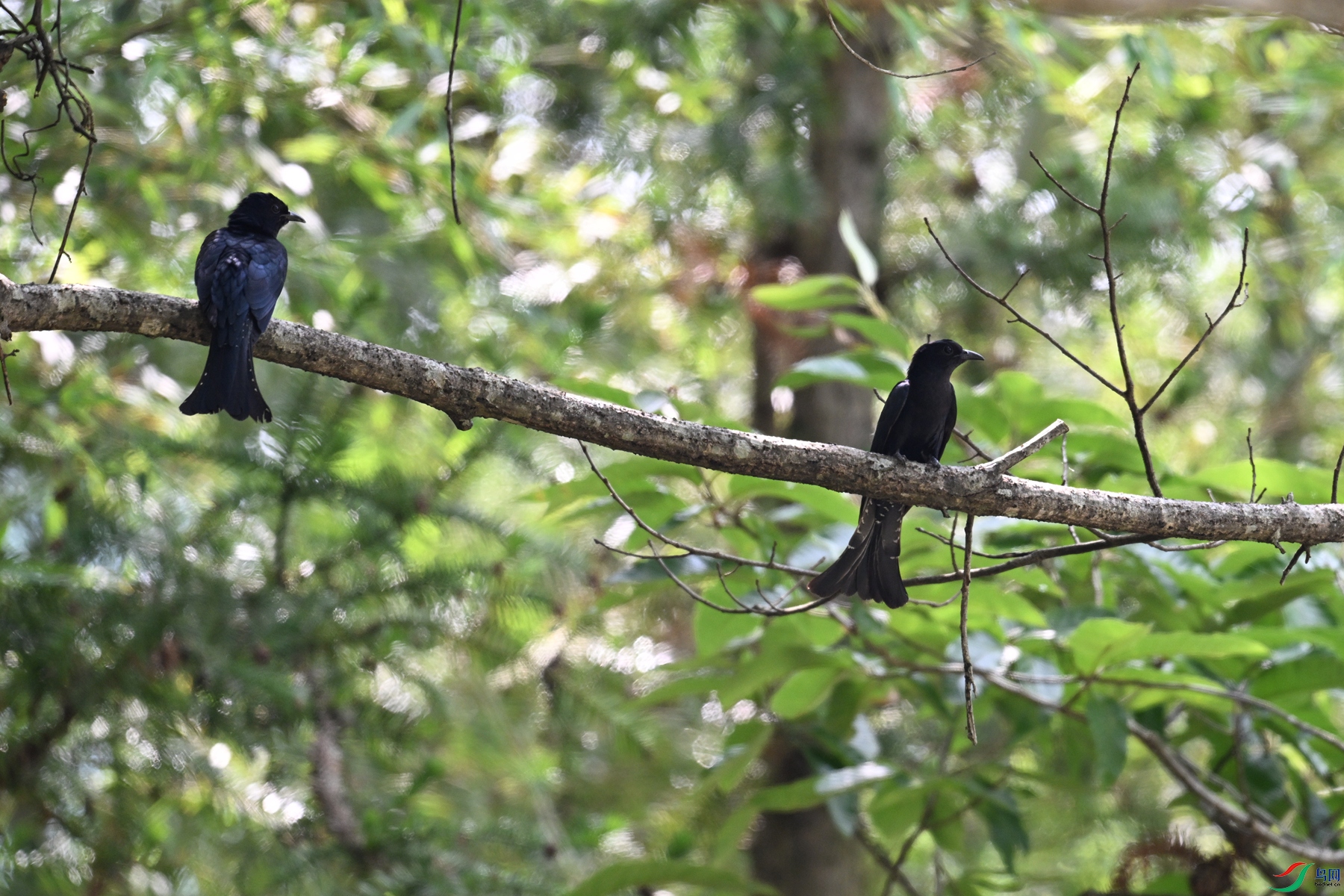 DSC_0783.JPG