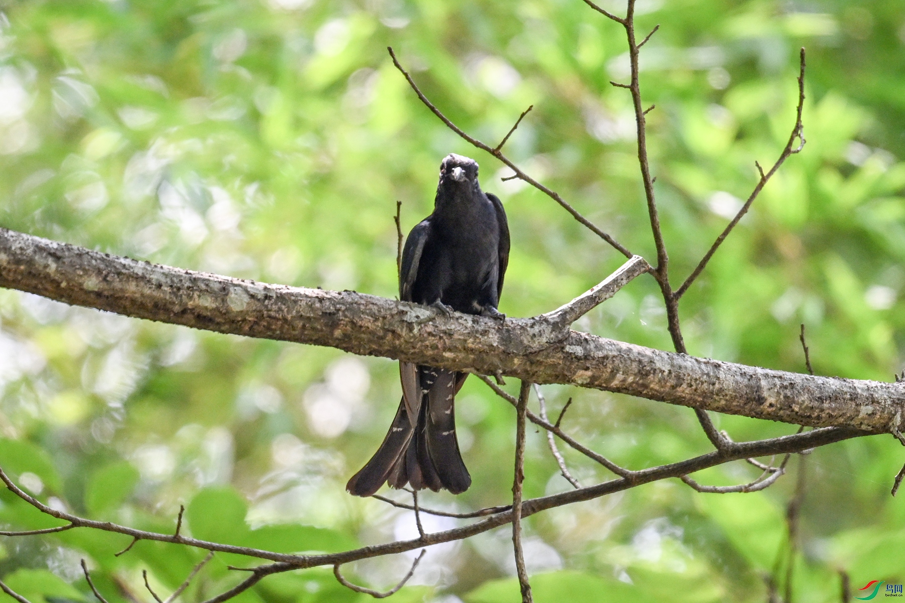 DSC_0710.JPG