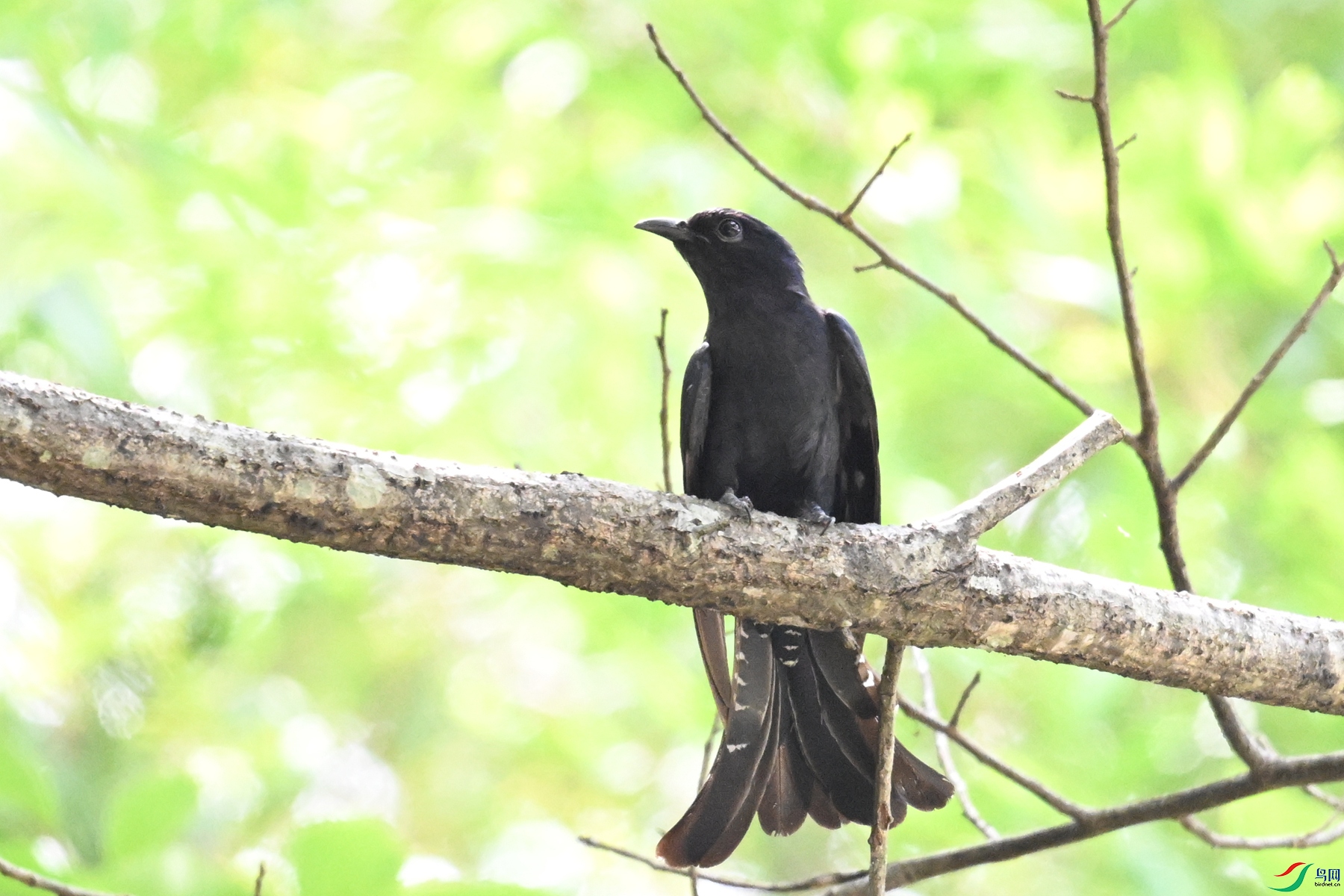 DSC_0770.JPG