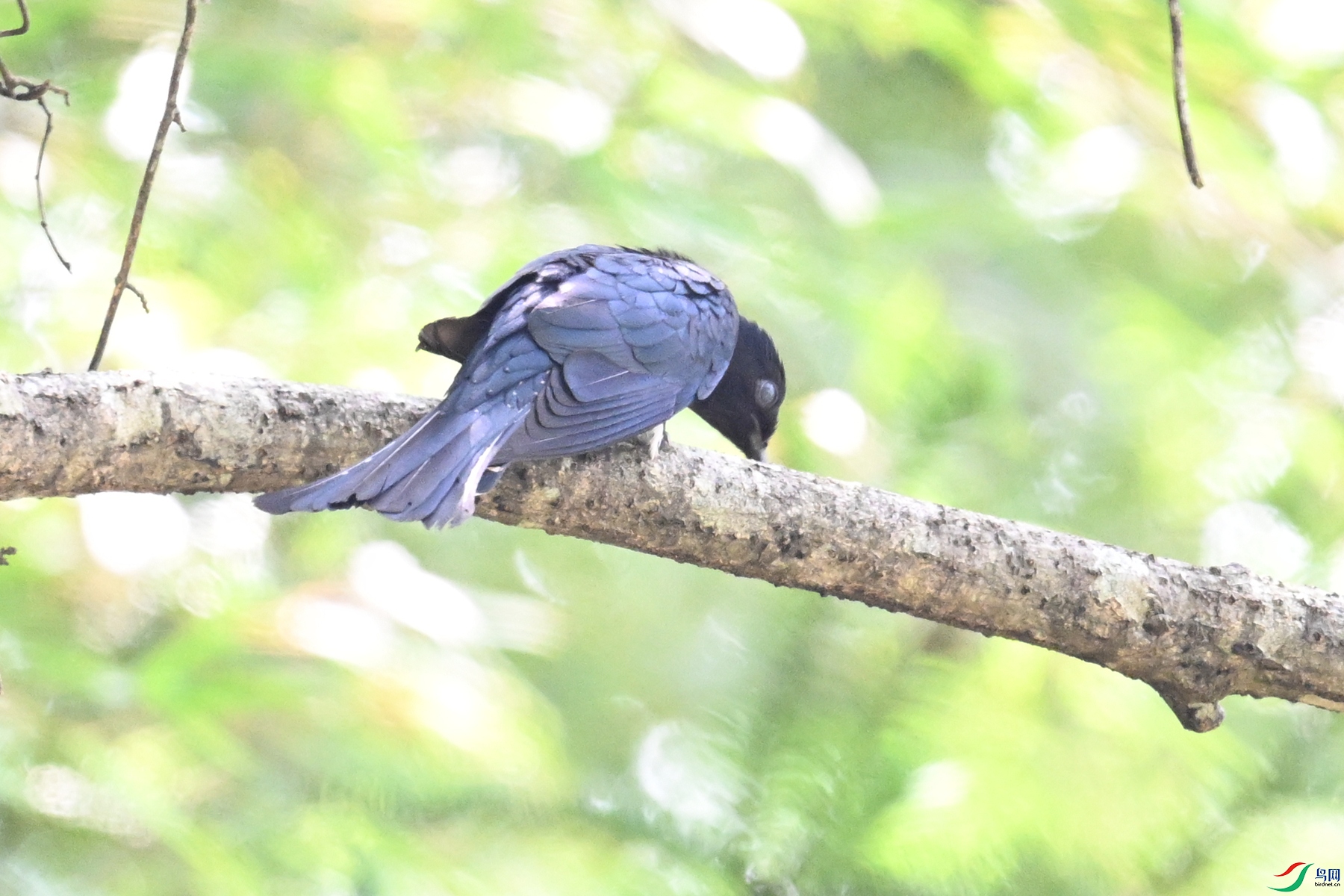 DSC_0801.JPG