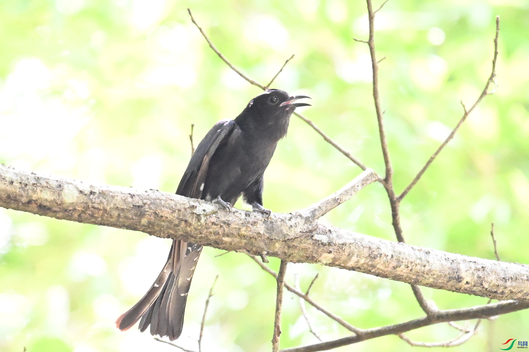 DSC_0715.JPG