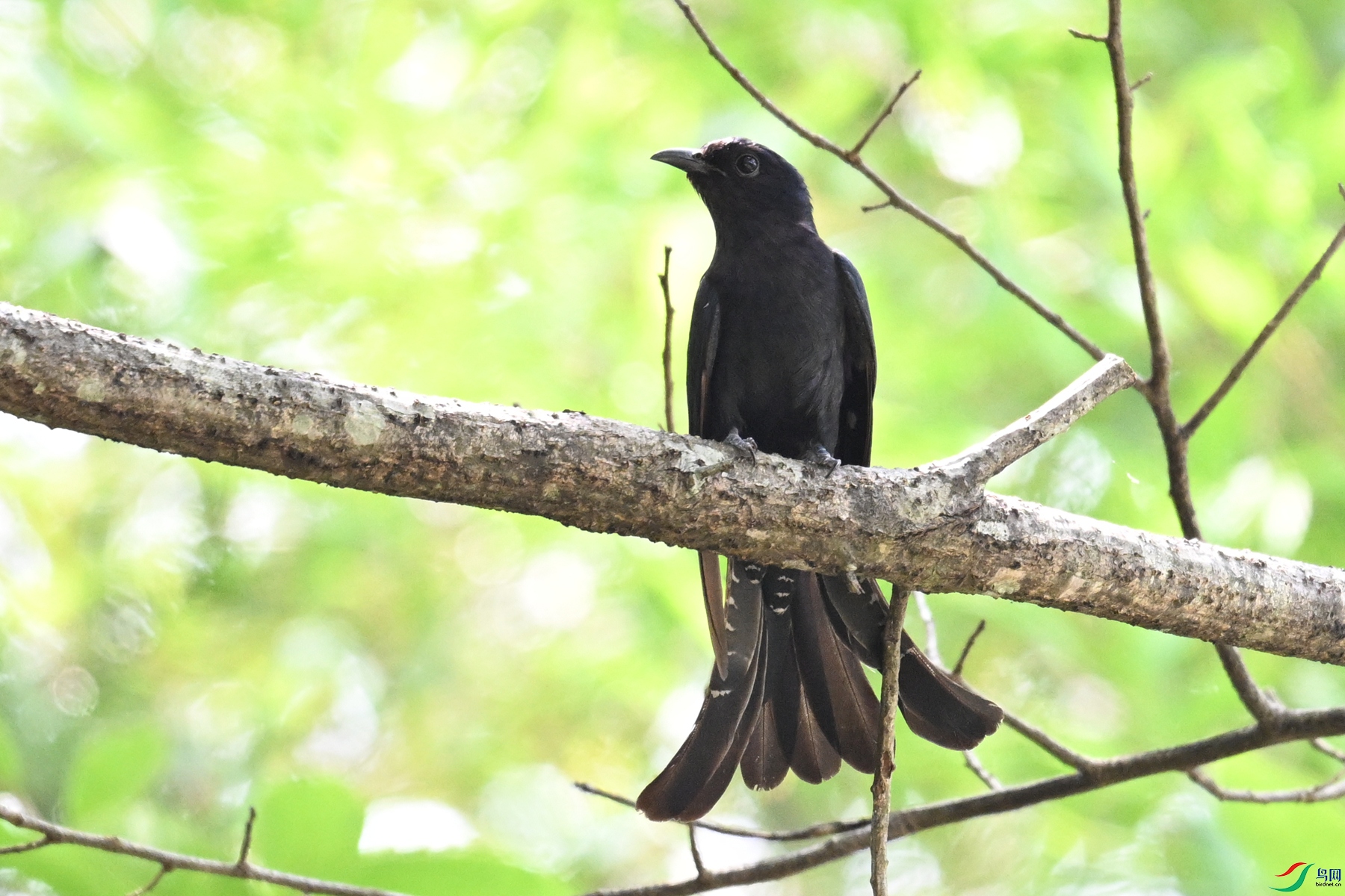 DSC_0776.JPG