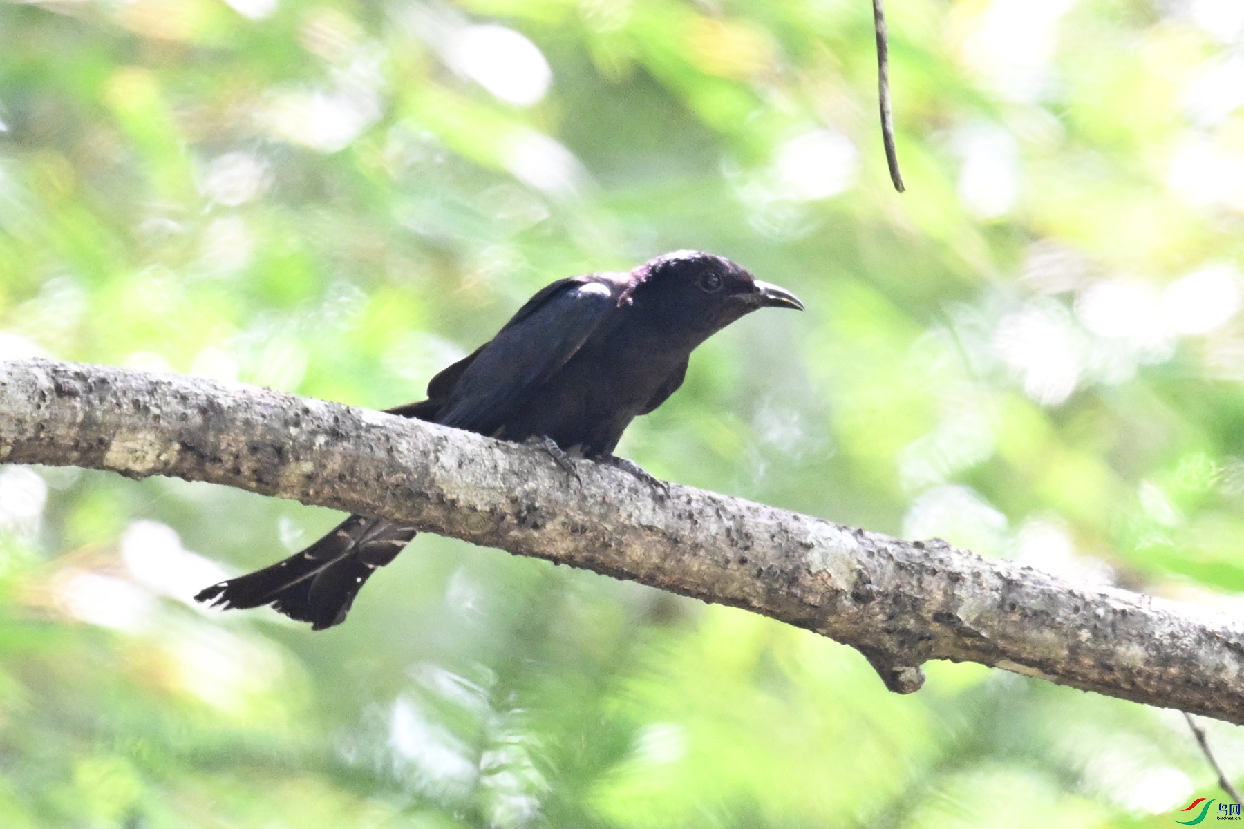 DSC_0807.JPG