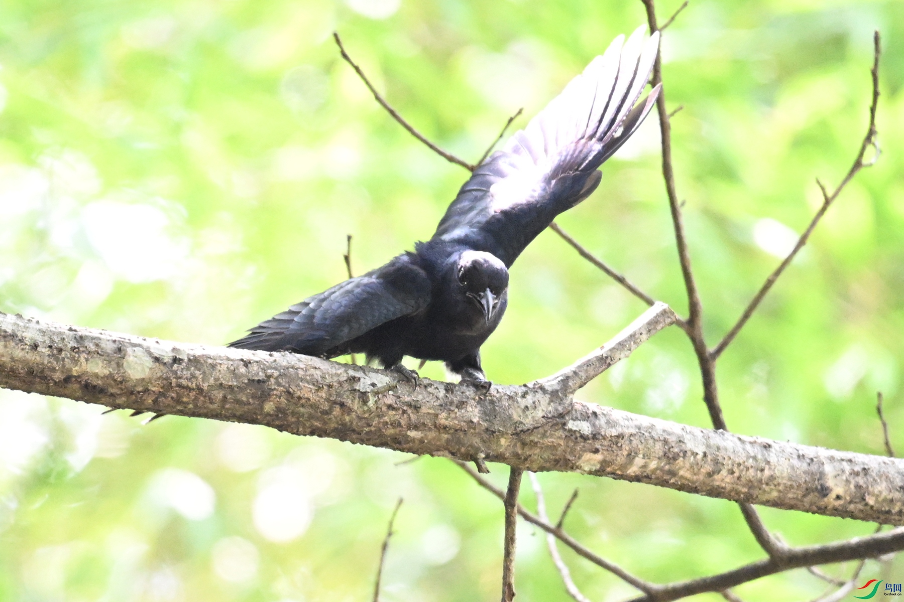 DSC_0754.JPG