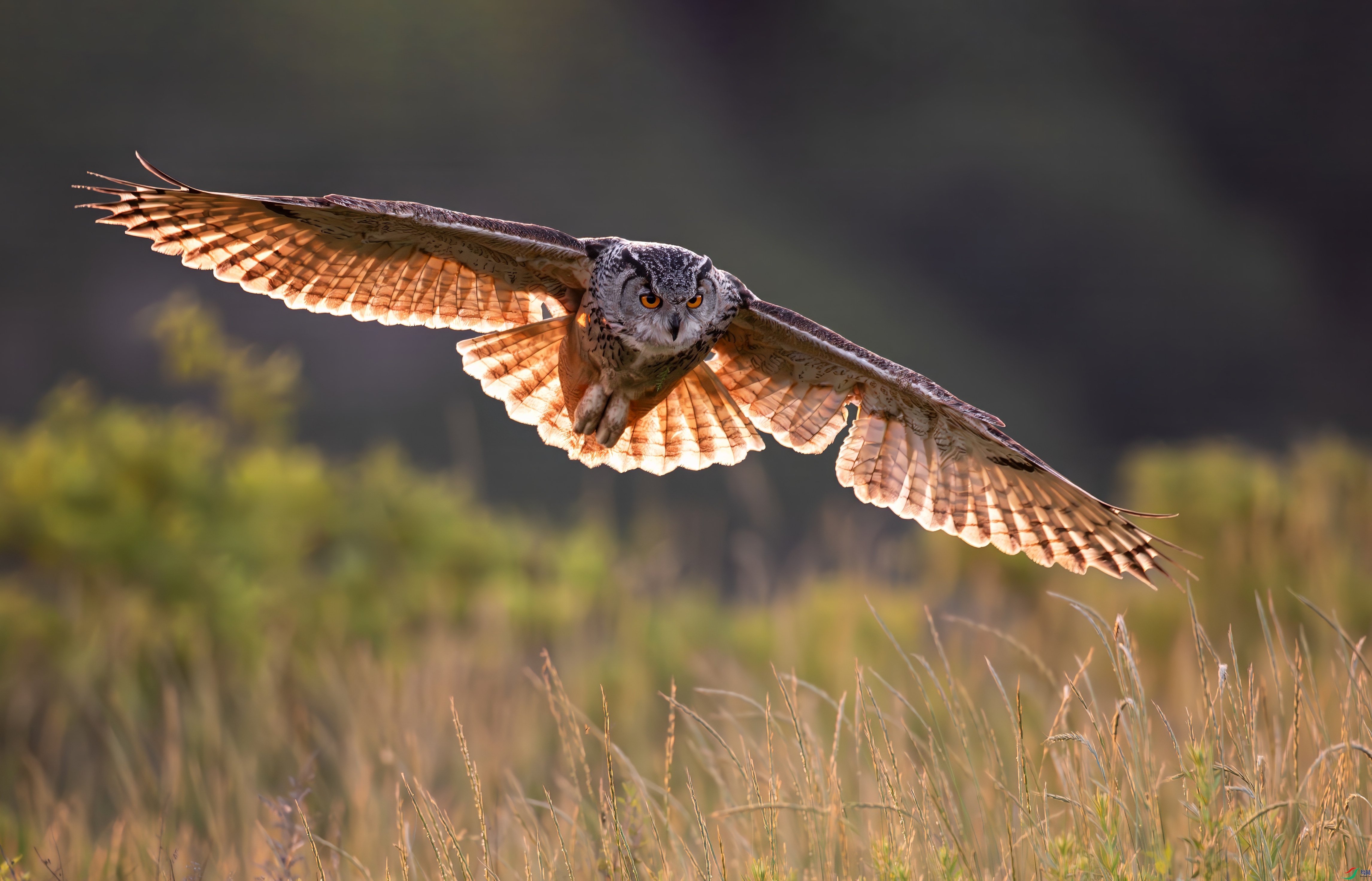 0L0A6607-topaz-denoise.jpeg