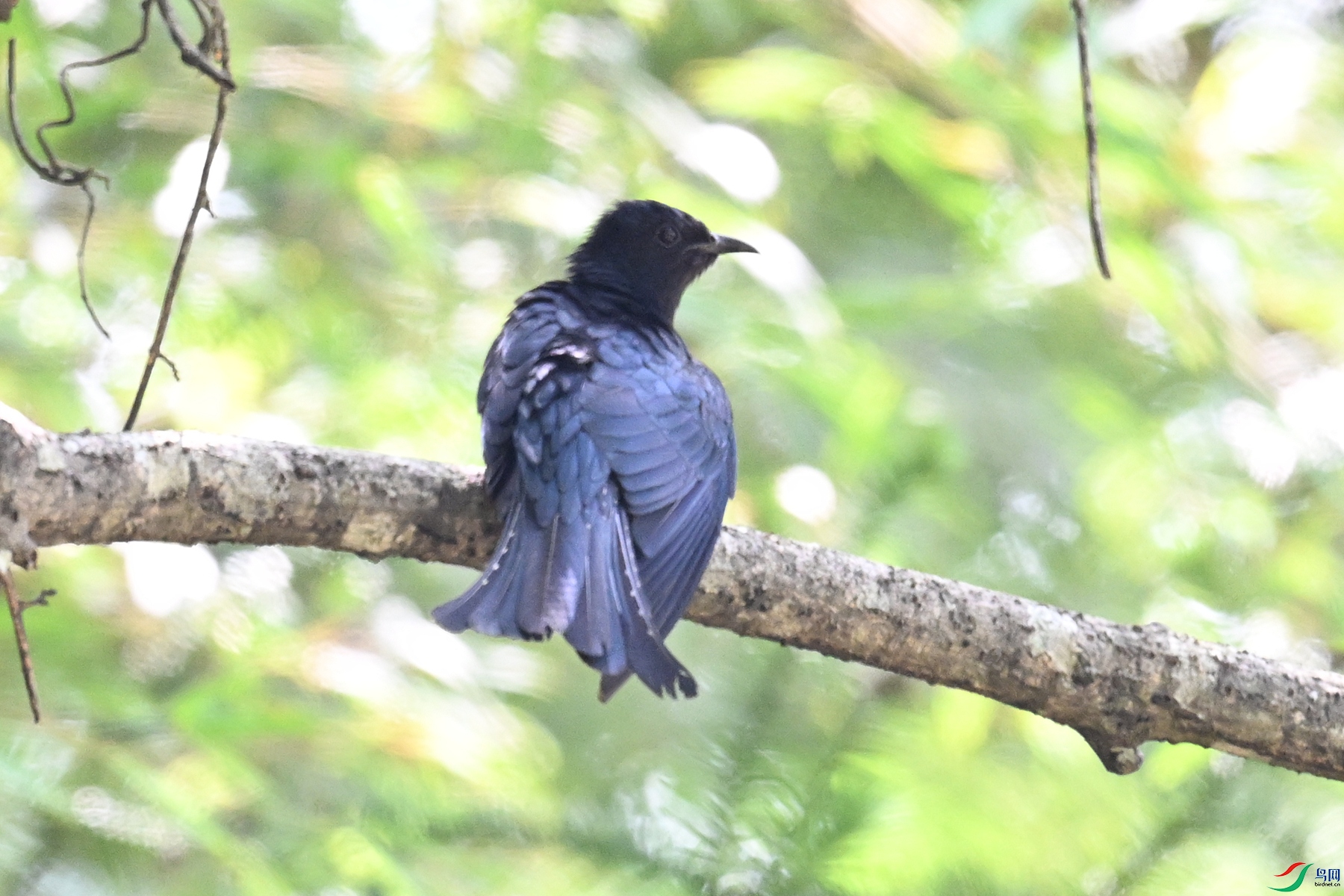 DSC_0797.JPG