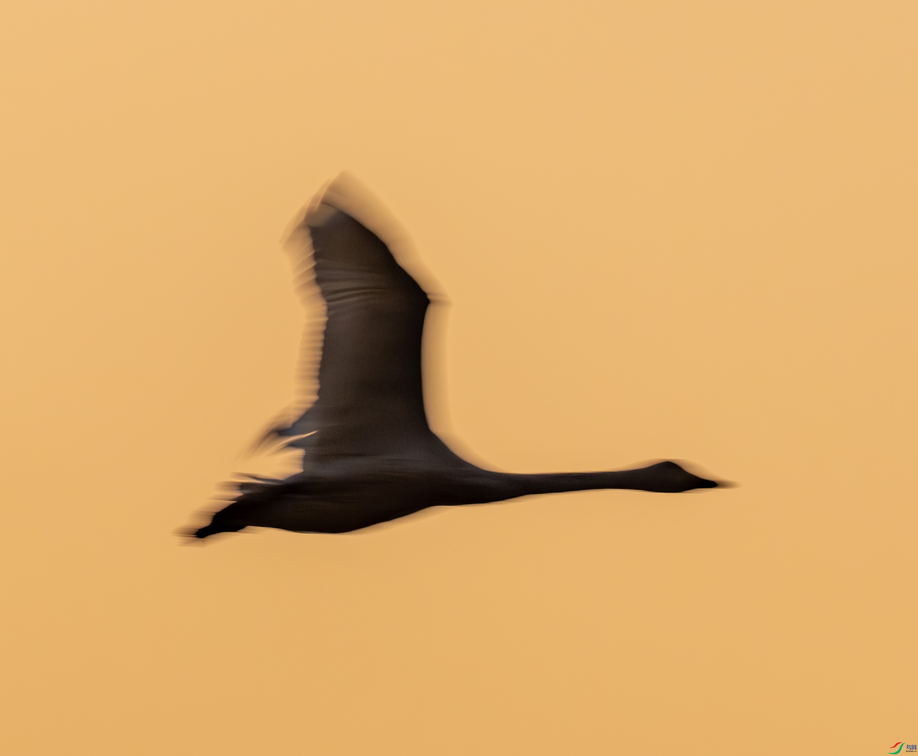 С���-01-9.jpg