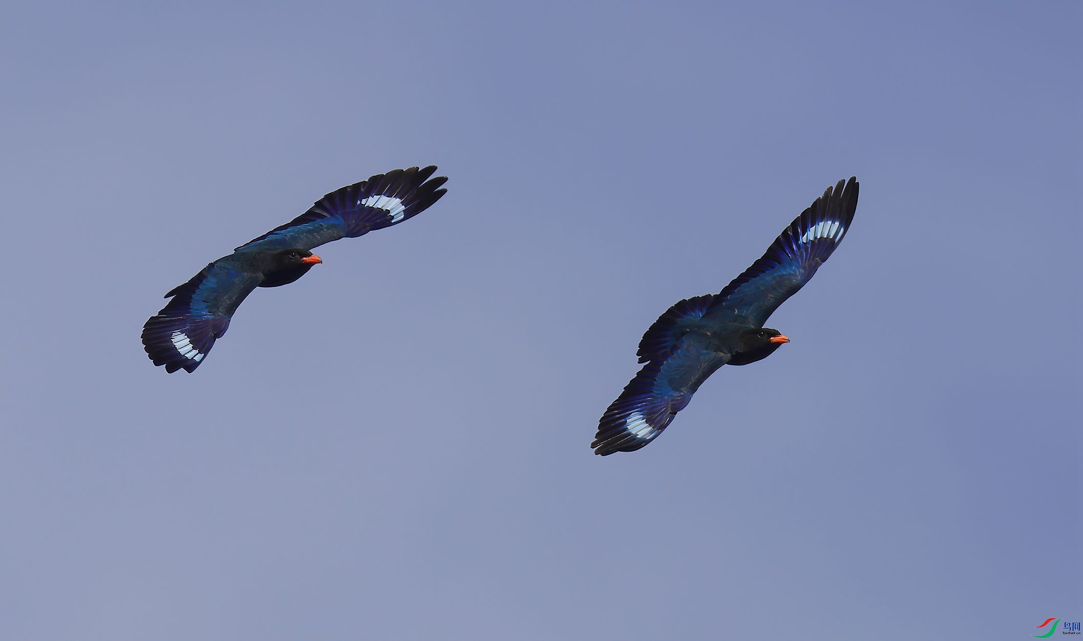 4R6A4846-SharpenAI-Motion.jpg