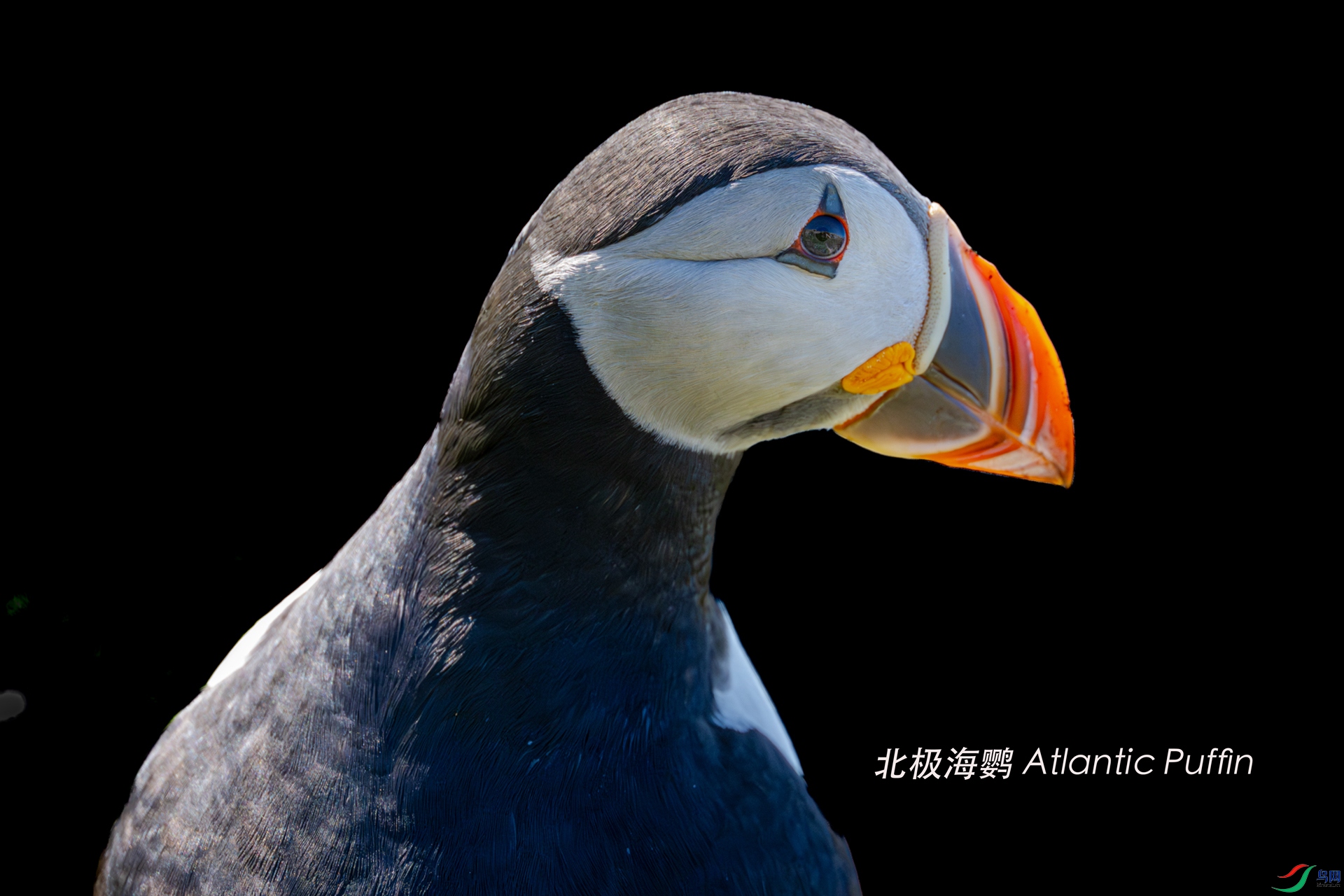 DSC_5136.jpg