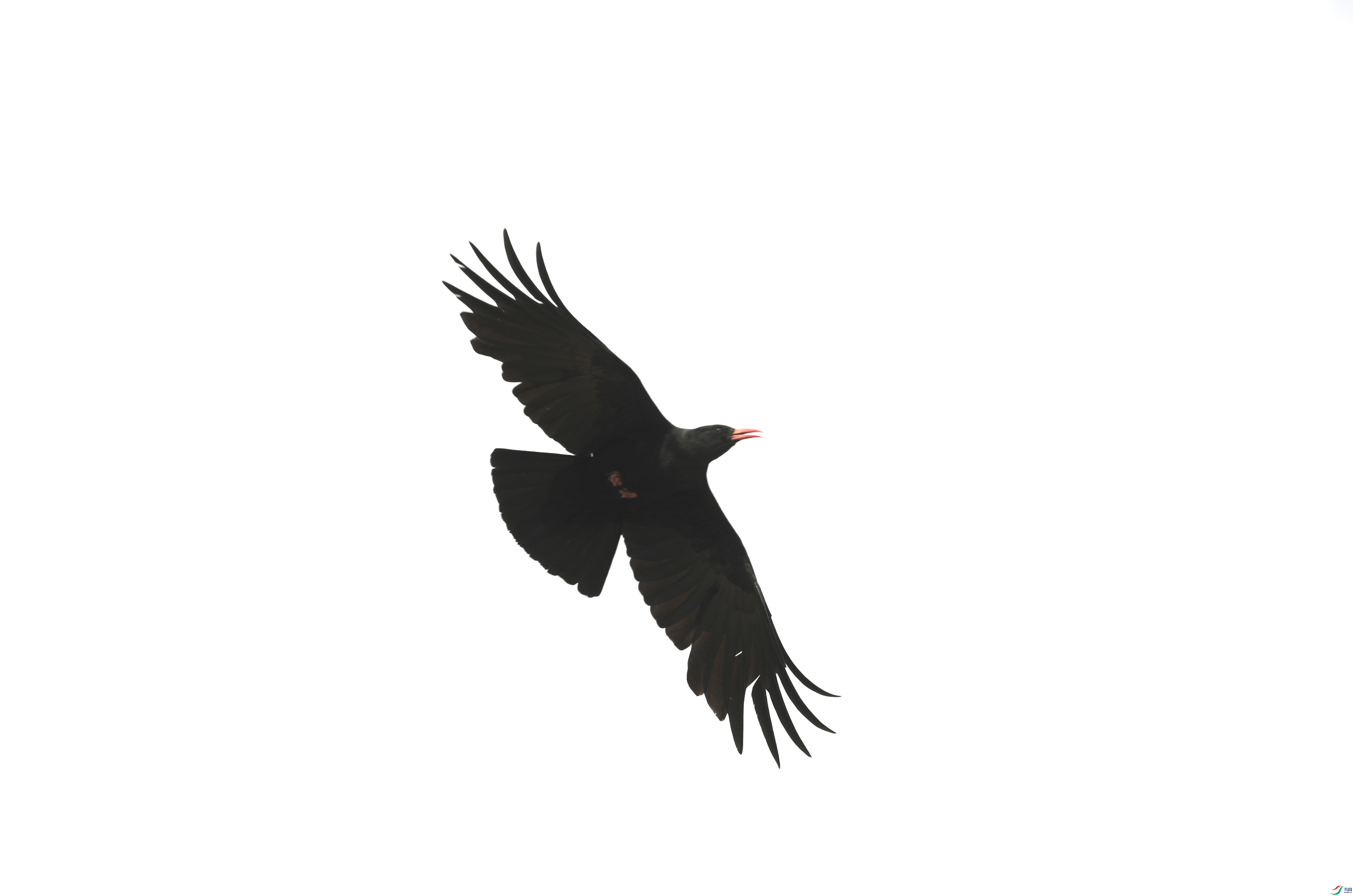 BL7A2746.JPG