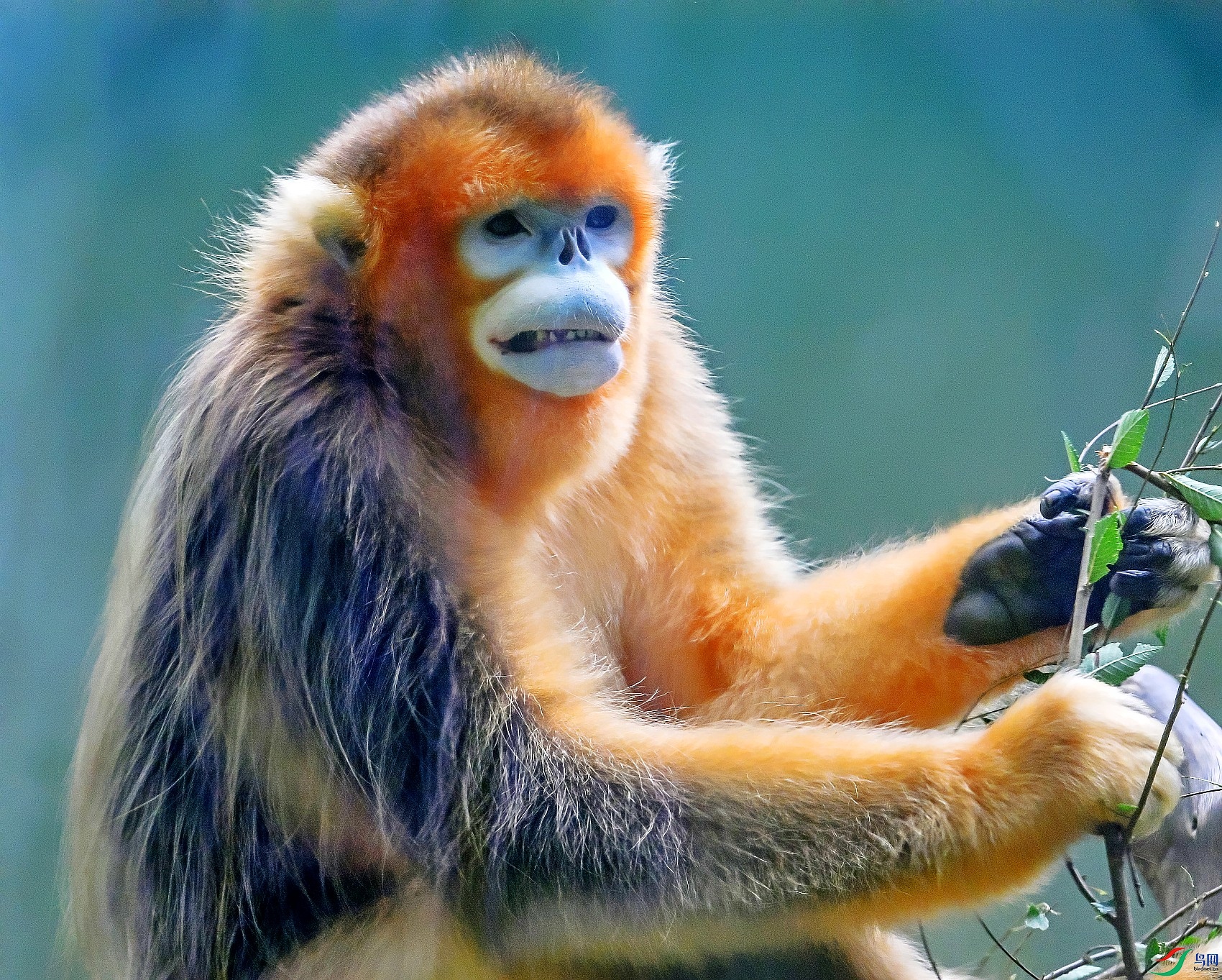 DSC_8993---_conew1.jpg