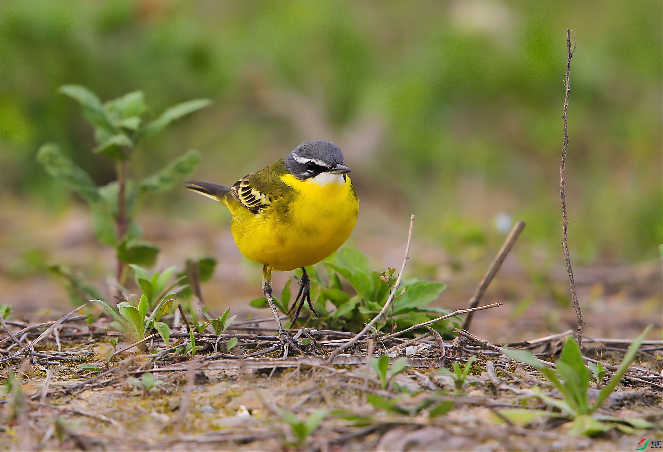 A41B4634_2.jpg