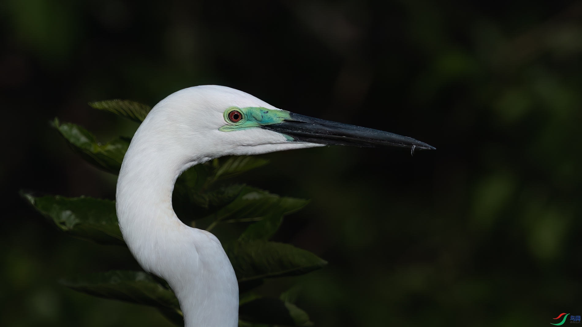 DSC_7622sen2026-5-10-42-�༭.jpg