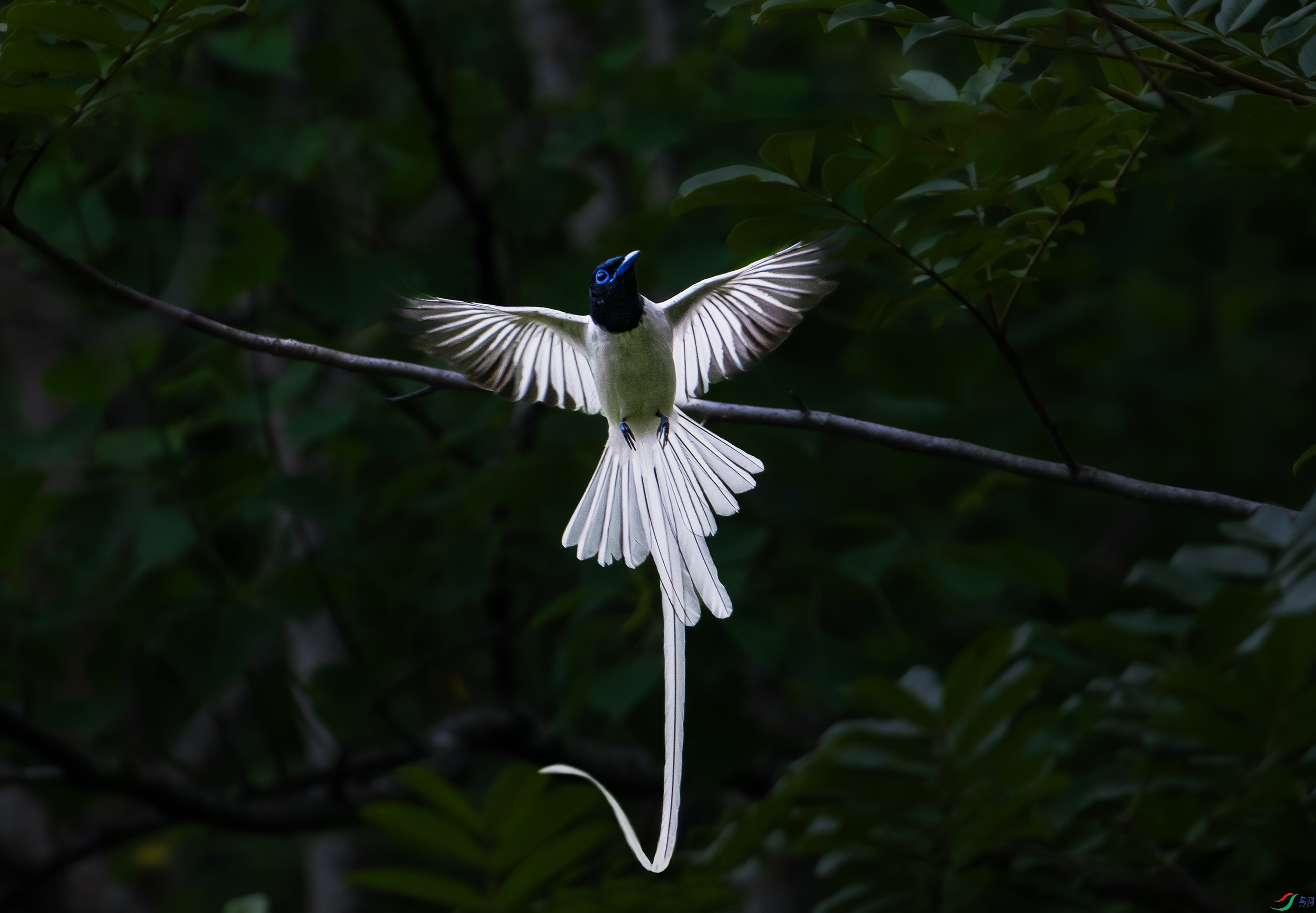 DSC_7463.jpg