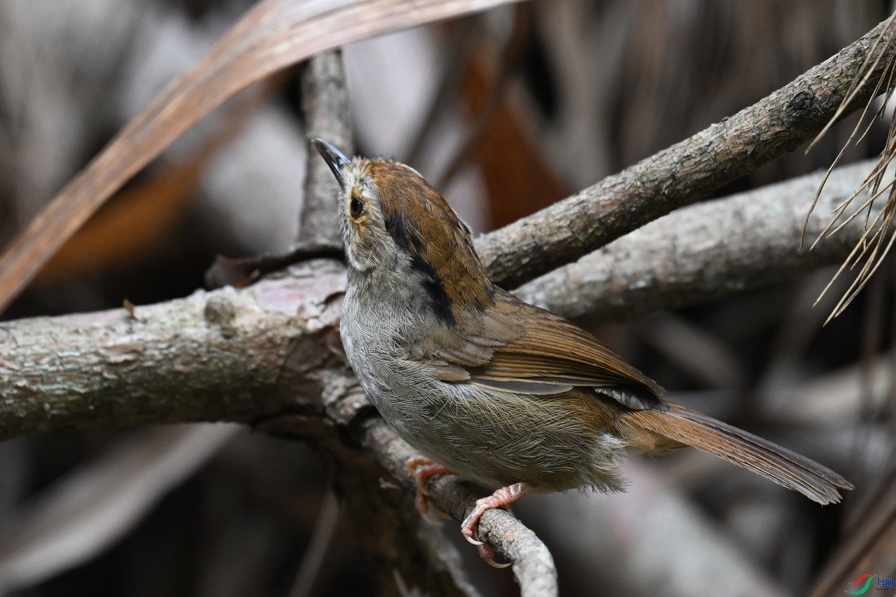 DSC_0304.JPG