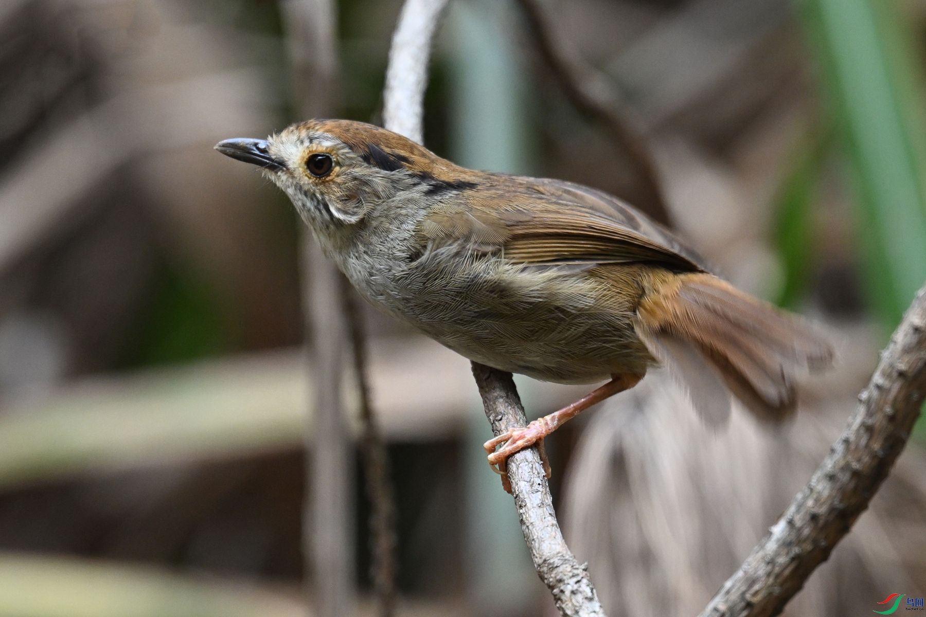 DSC_0286.JPG