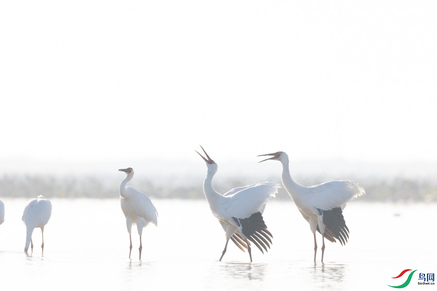 A_35.jpg