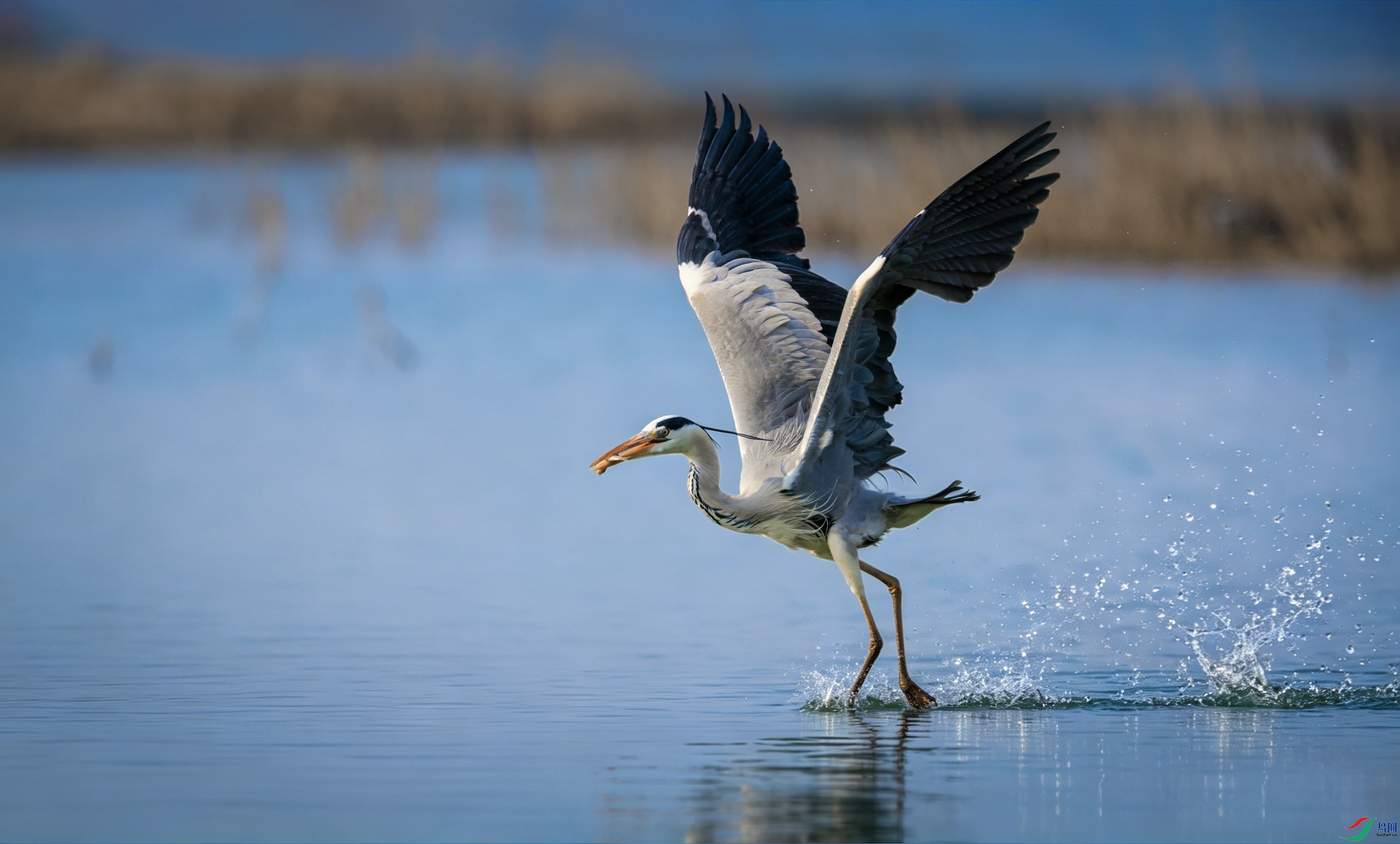 2D8A6431-1.jpg