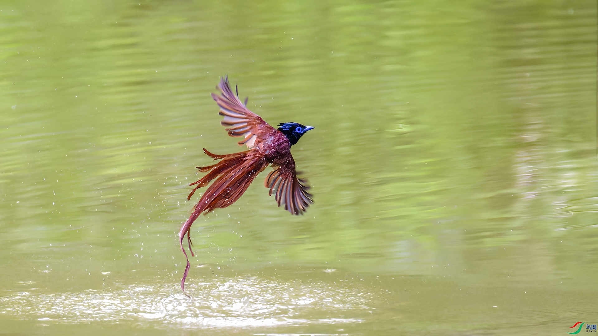 _DSC3528-NEF_DxO_DeepPRIME-2.jpg