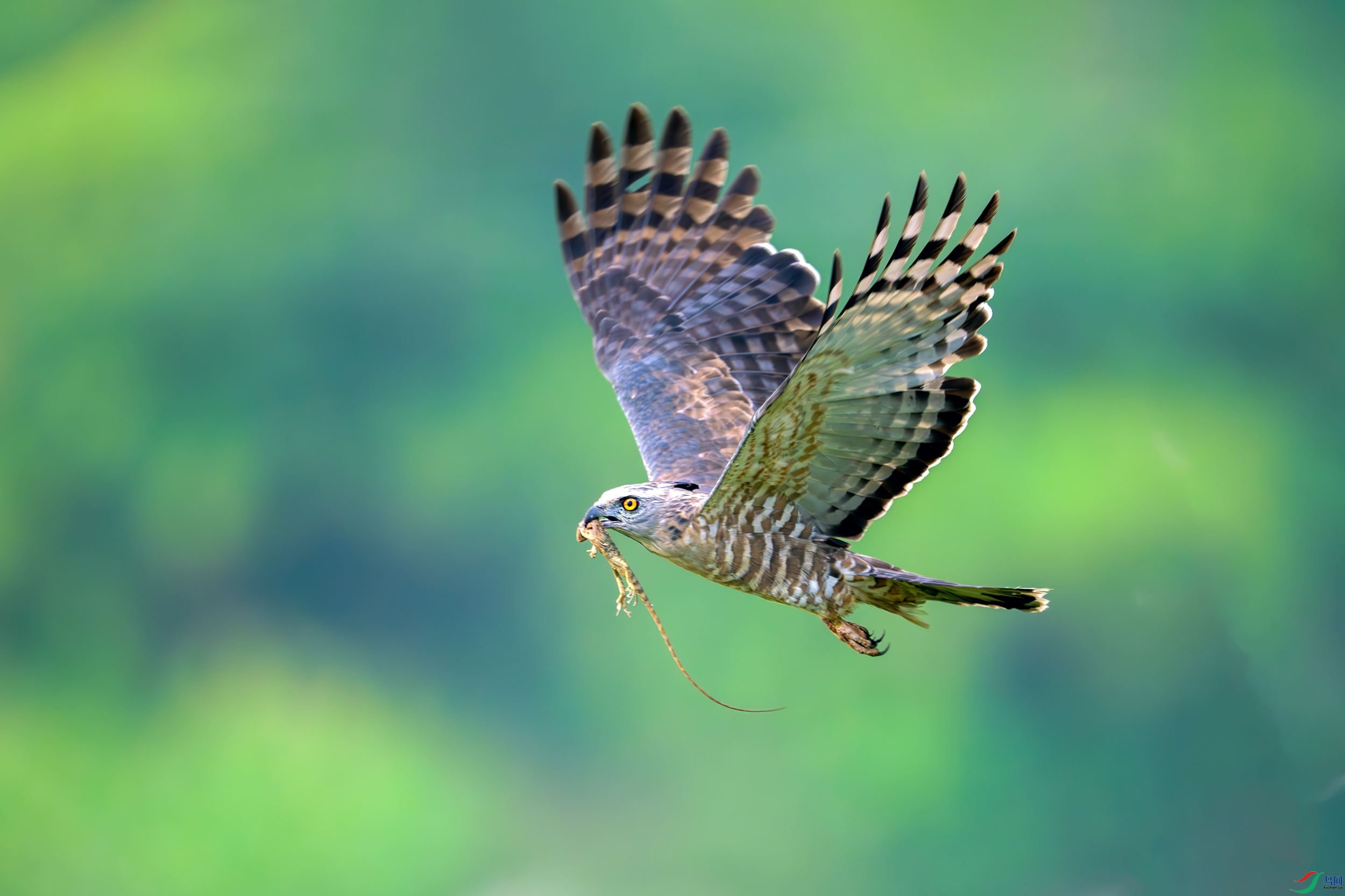 _DSC5860_����.jpg