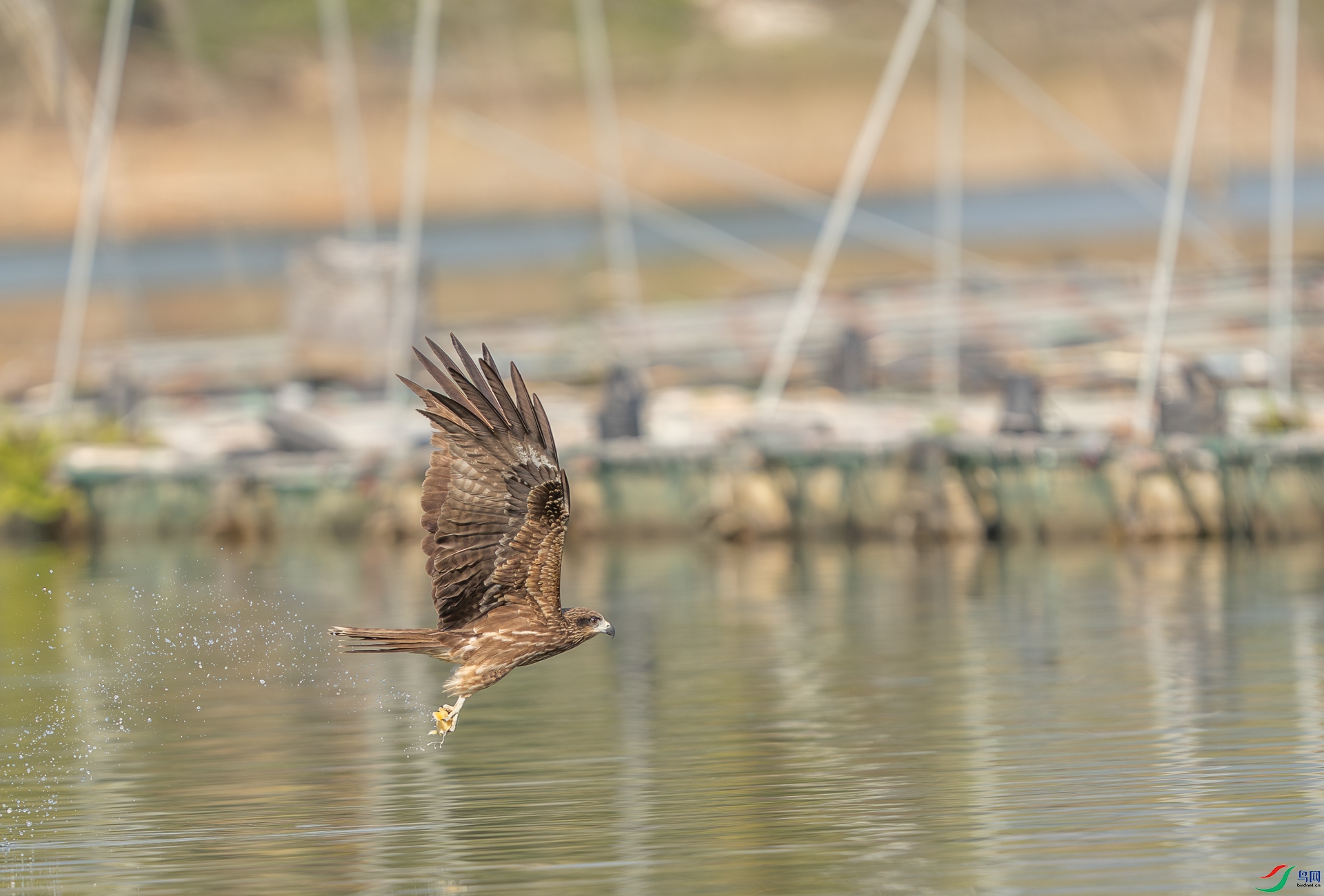 DSC_1388-1.jpg