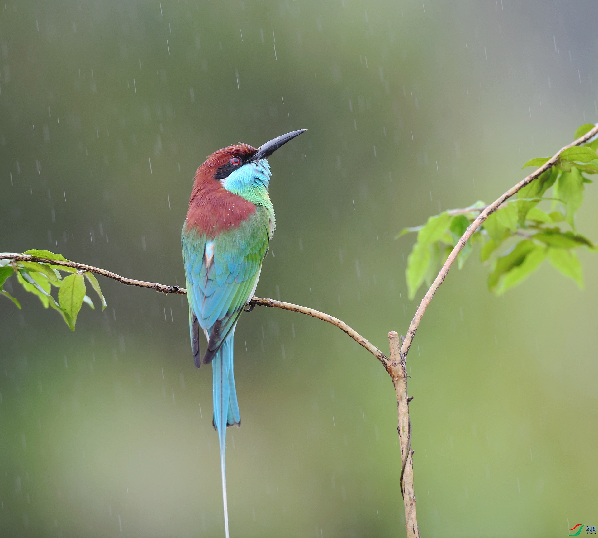 DSC_2917.jpg