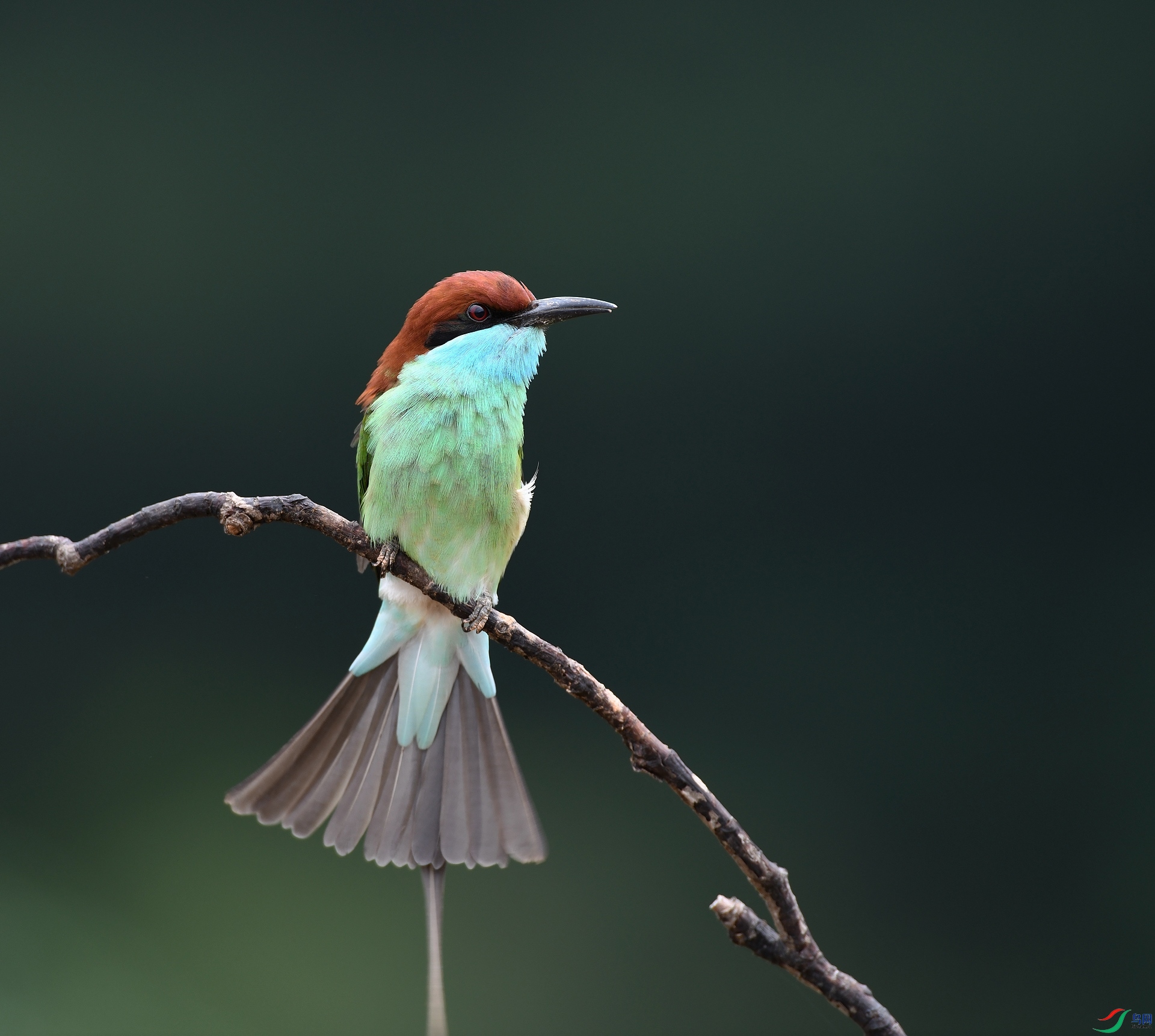 DSC_0621.jpg
