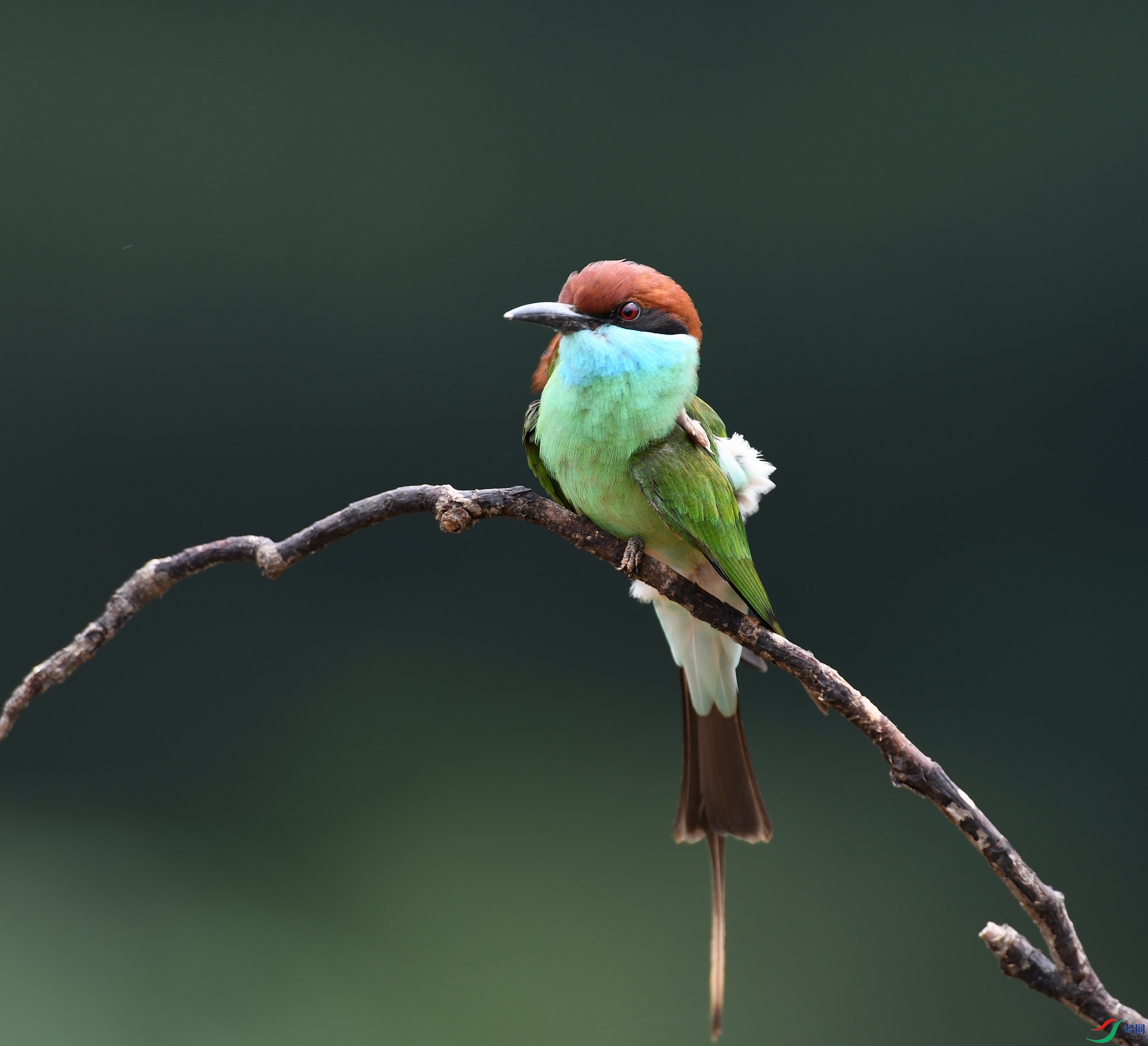 DSC_0603.jpg