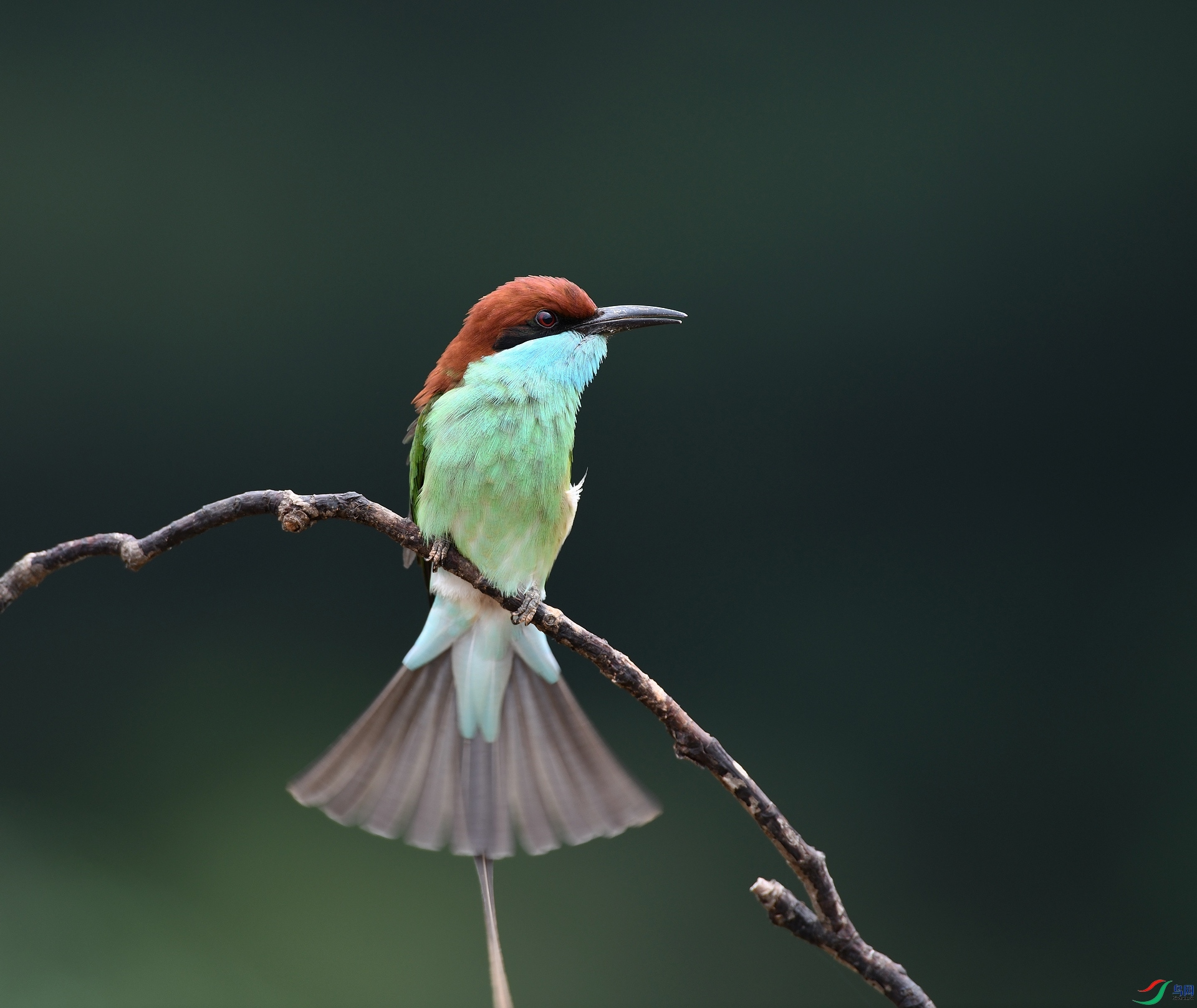 DSC_0622.jpg