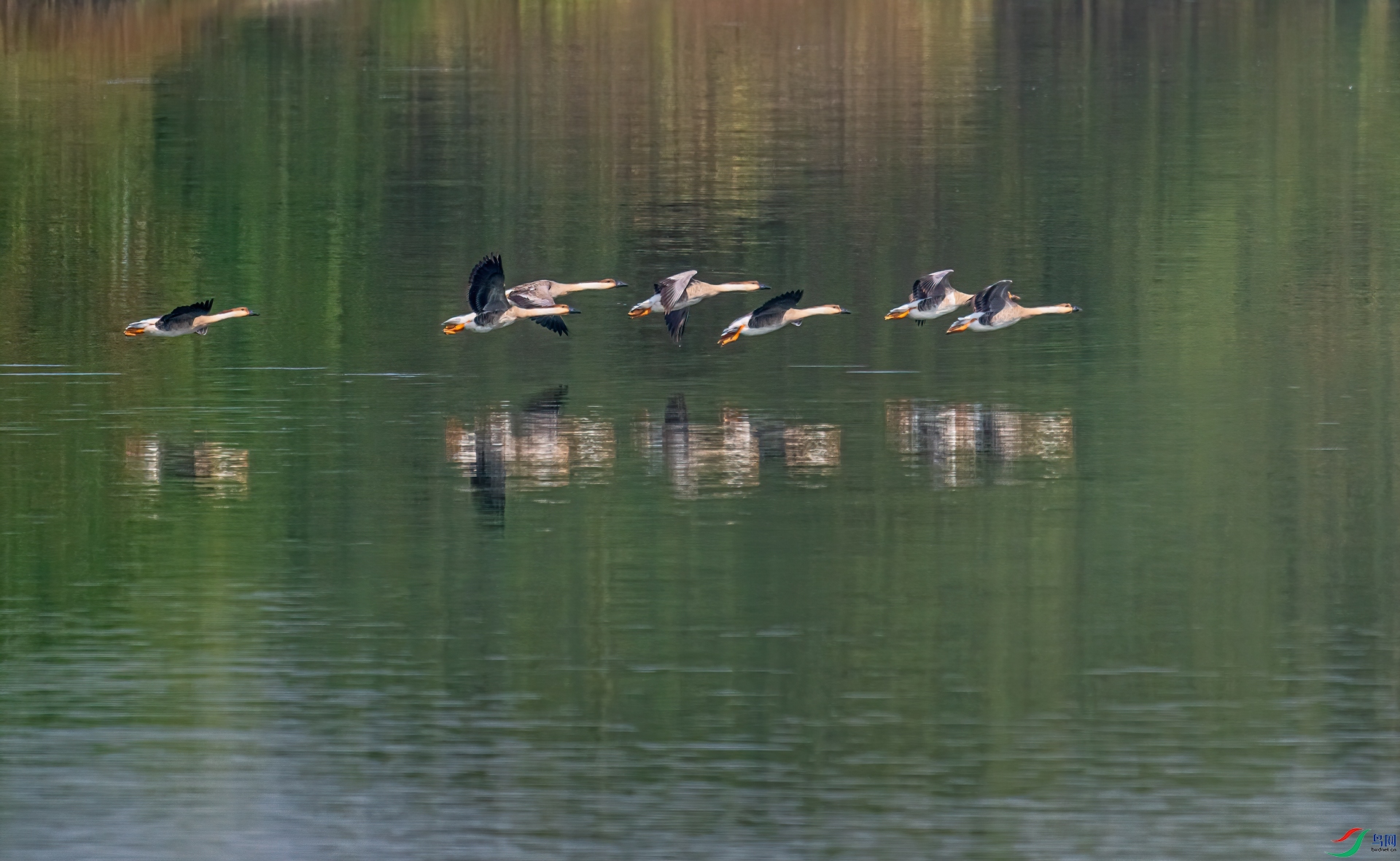 DSC_2531-11.jpg