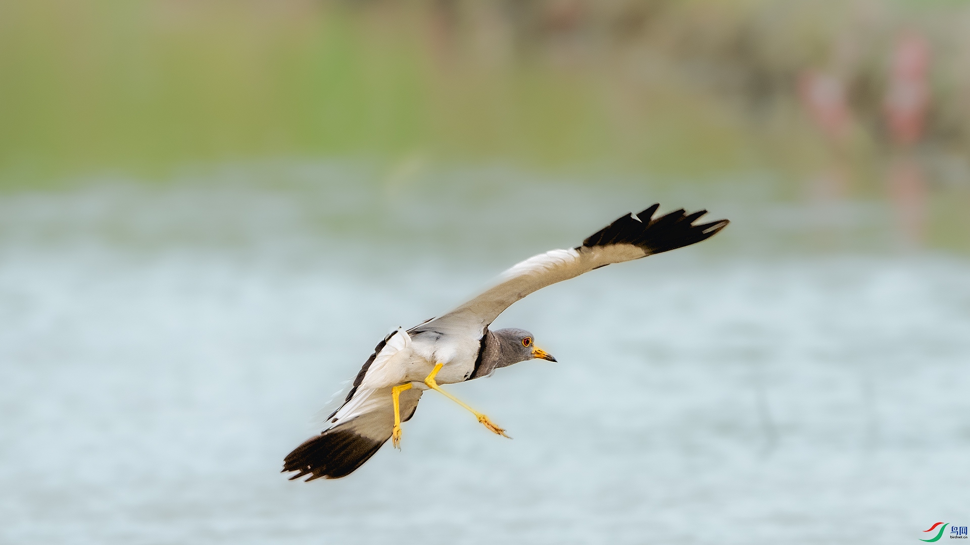 DSC_0391 ����.jpg