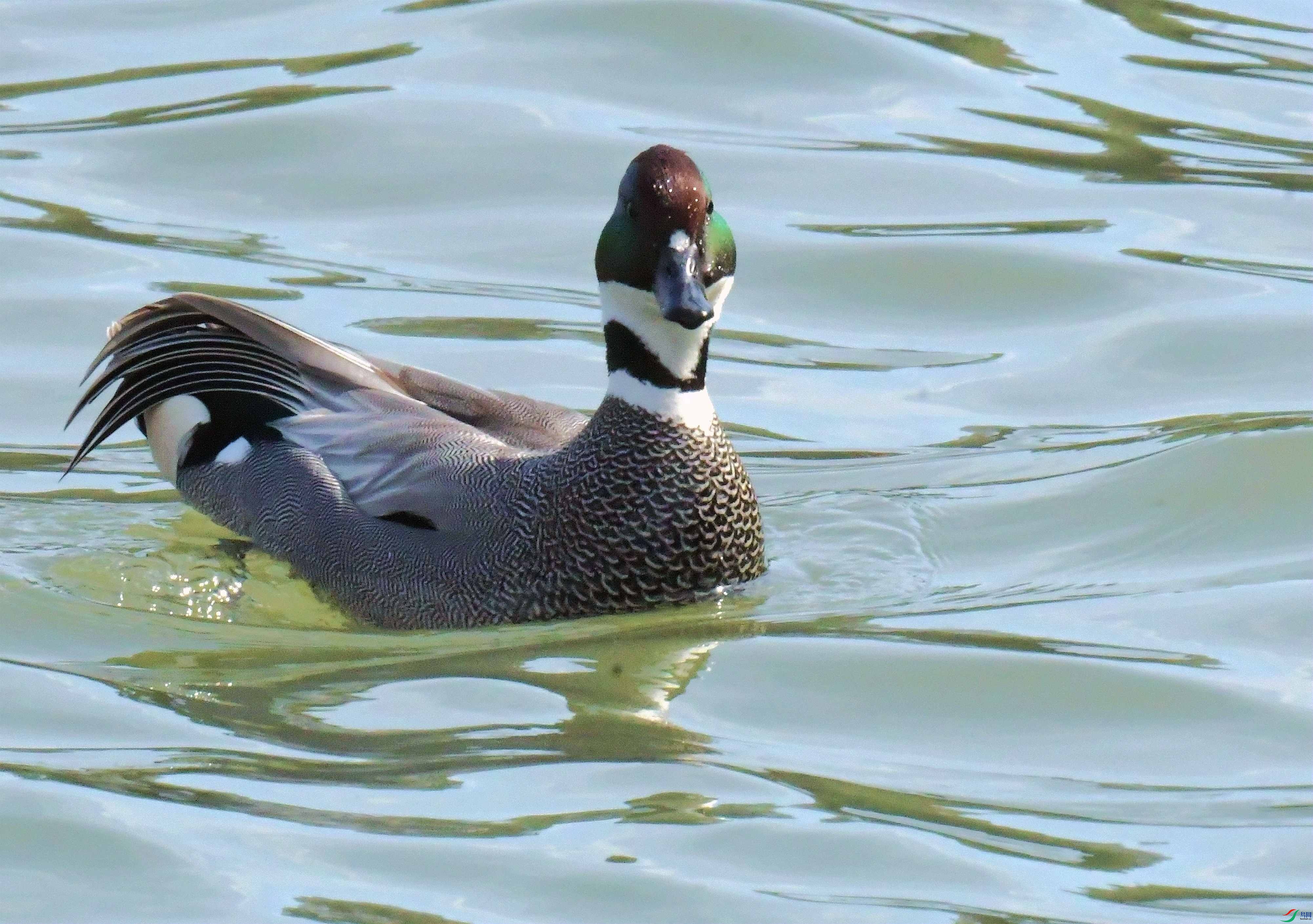 DSC_8791.JPG