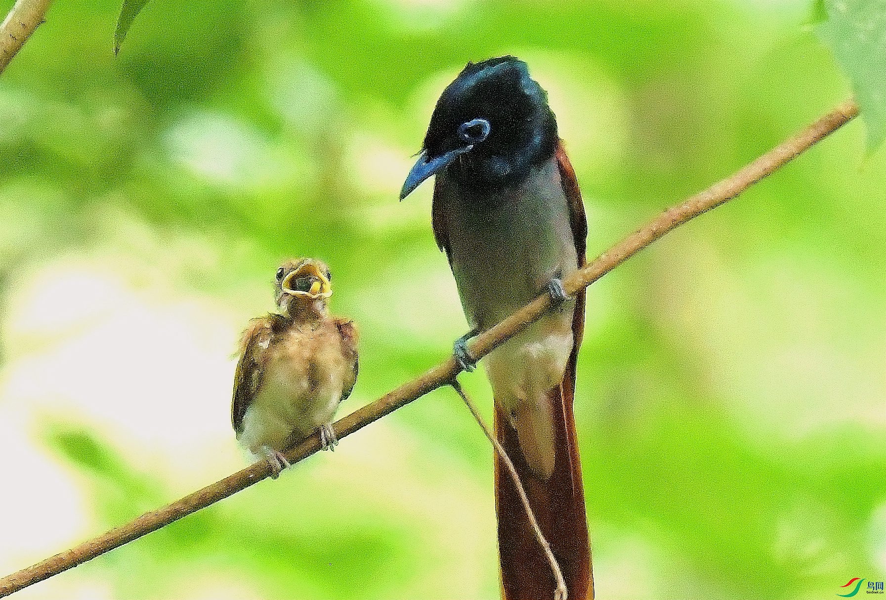 DSC_6069.JPG
