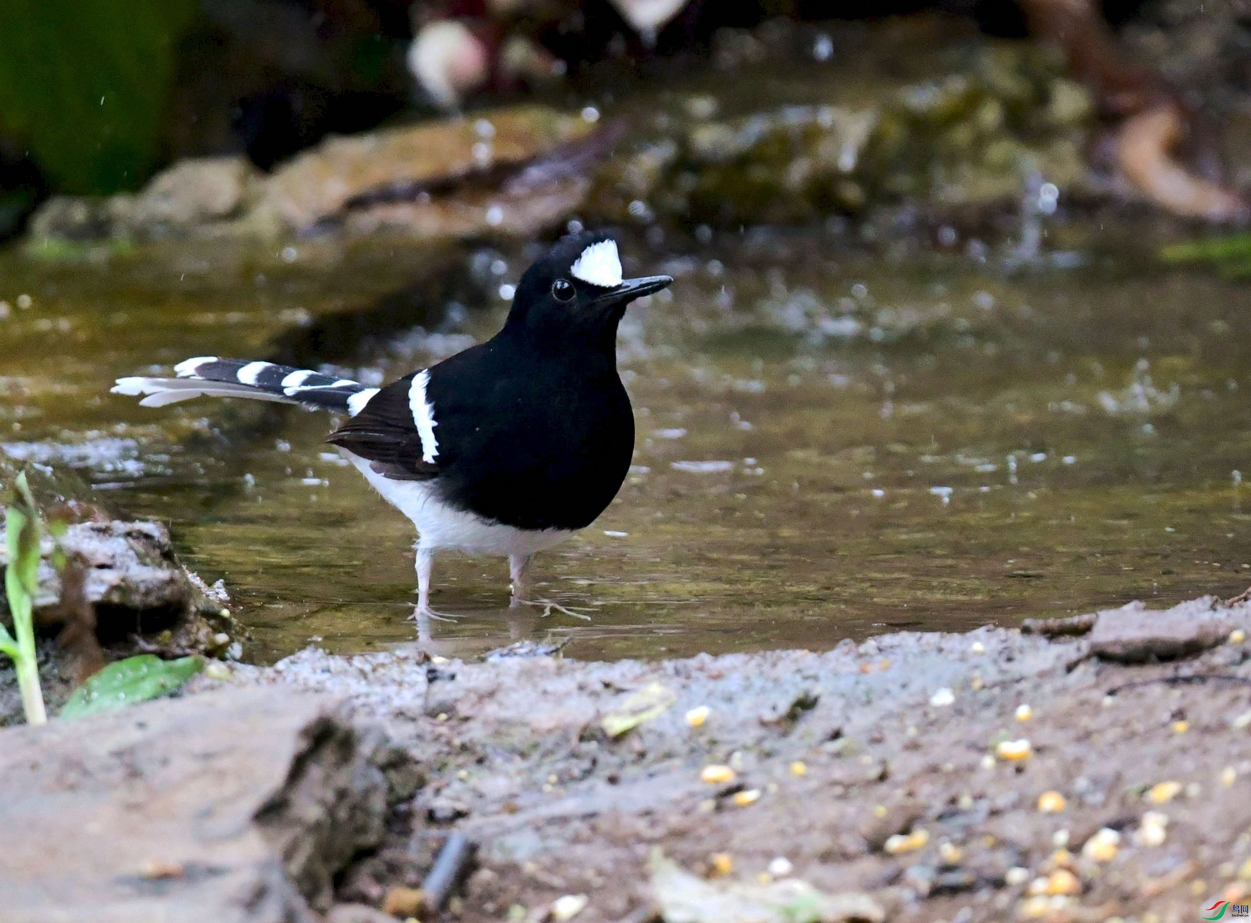 DSC_3648_����.jpg