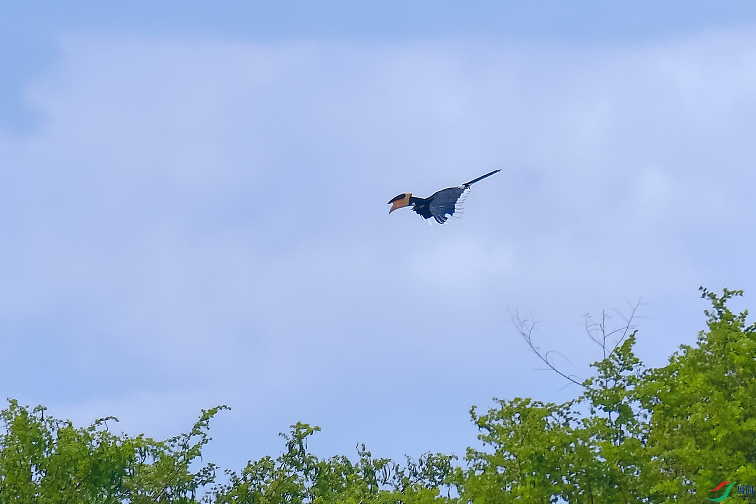 DSC_5098_DxOa.jpg