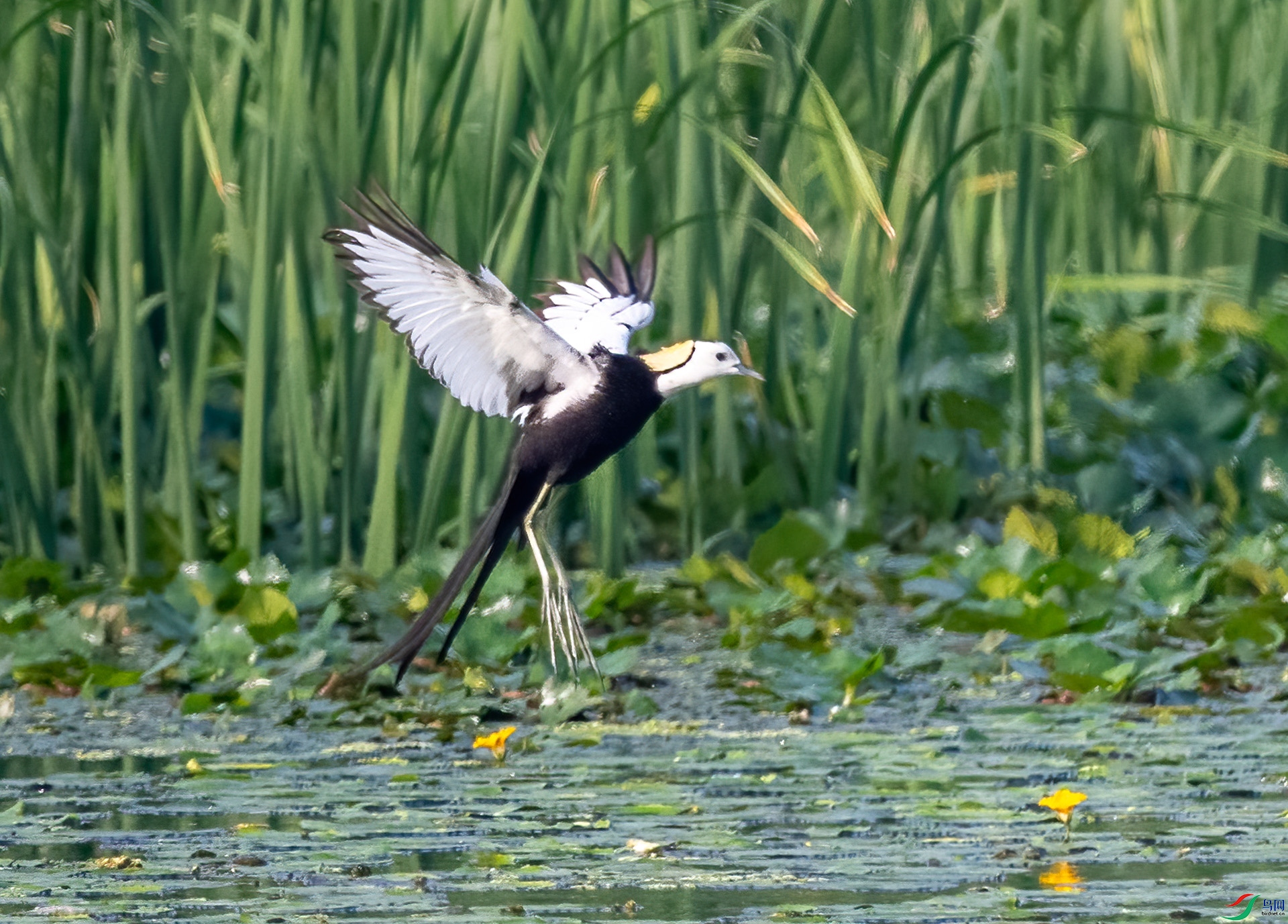 _DSC8133-.jpg