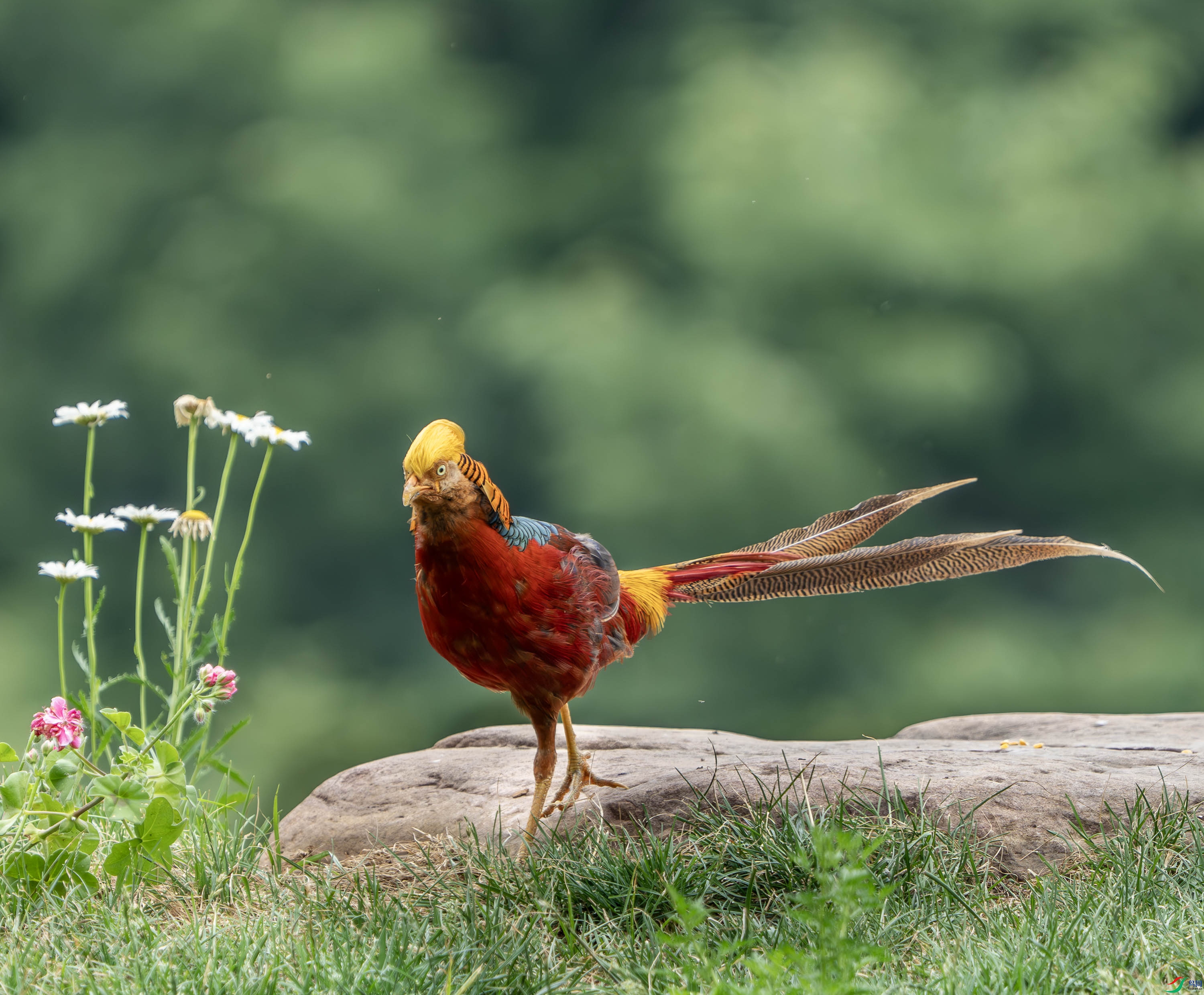 �츹����-31.jpg