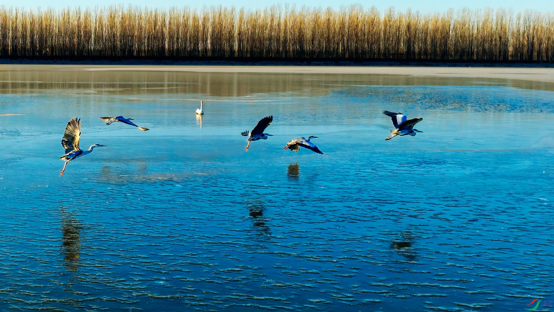 DJI_0460.jpg