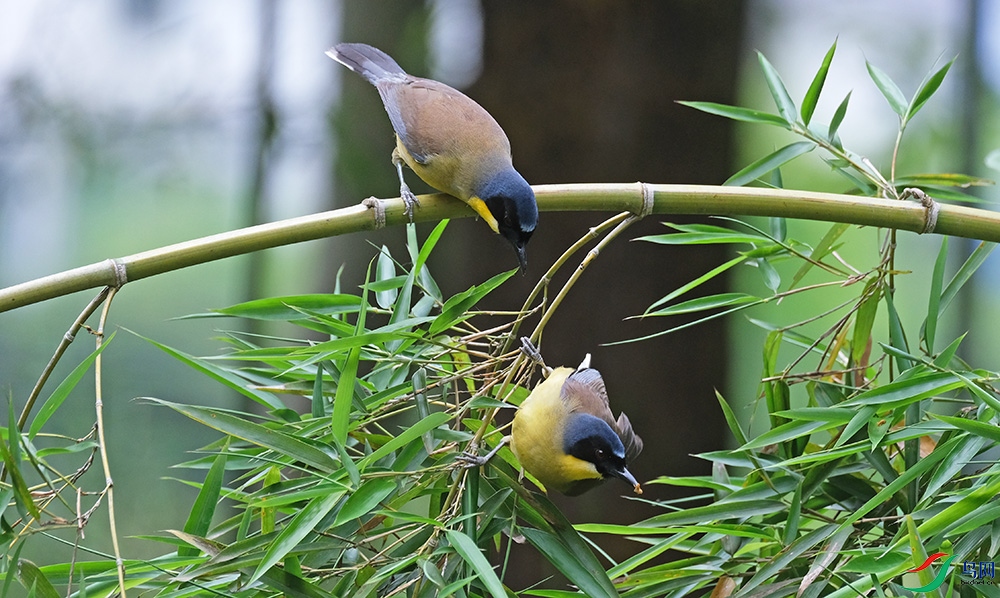 DSCF6273.1.jpg