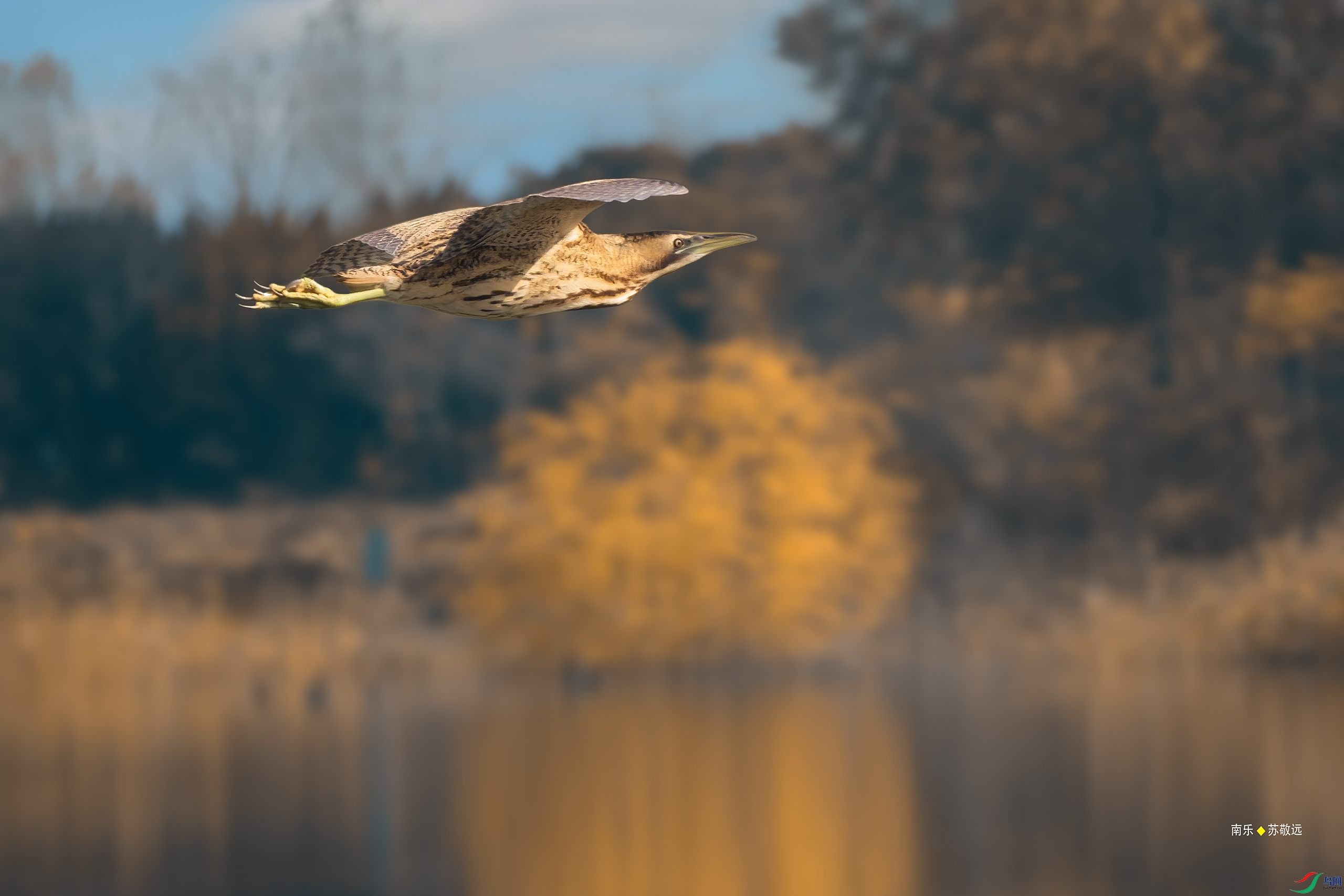 _DSC5781С.jpg